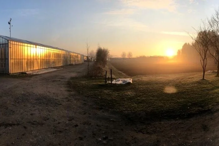 KW 12 - Freilandstart