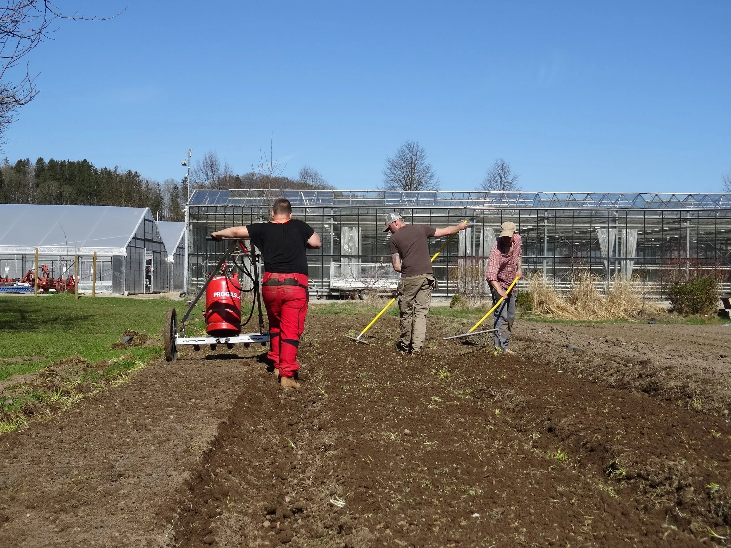 KW 13 - Weiter geht's im Freiland