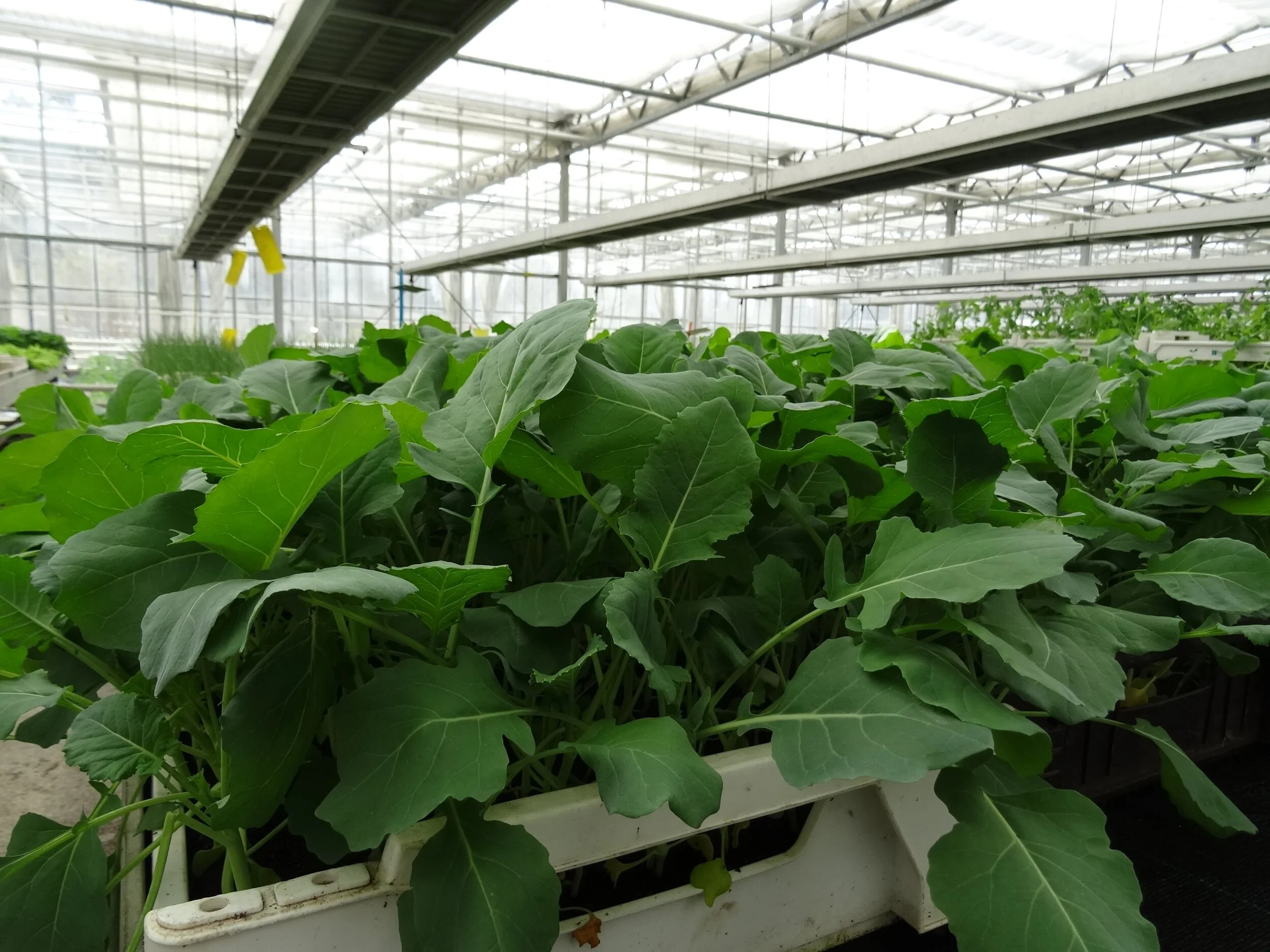 KW 14 - Der Winter ist zurück