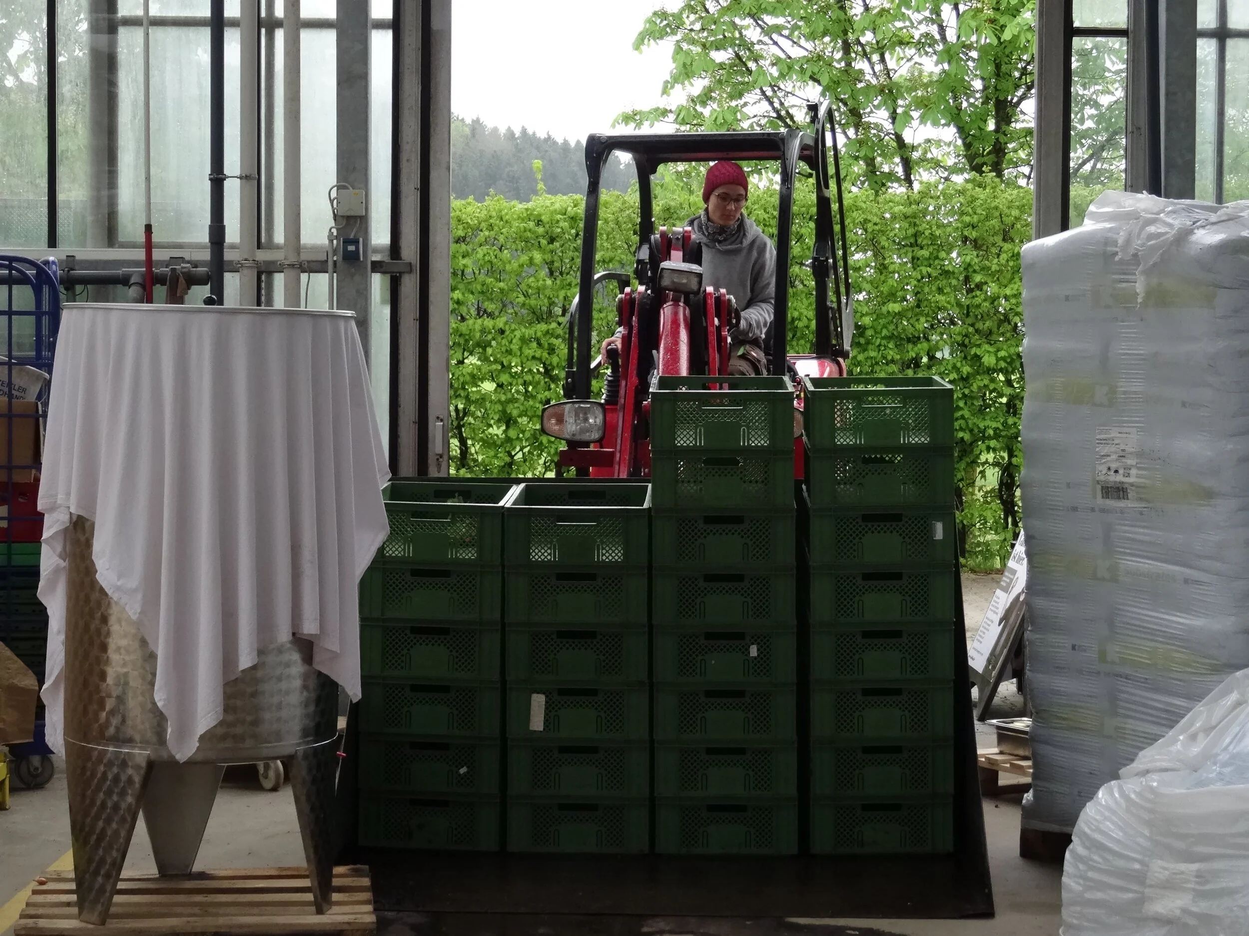 KW 17 – Knoblauch, Sellerie und nochmal Tomaten