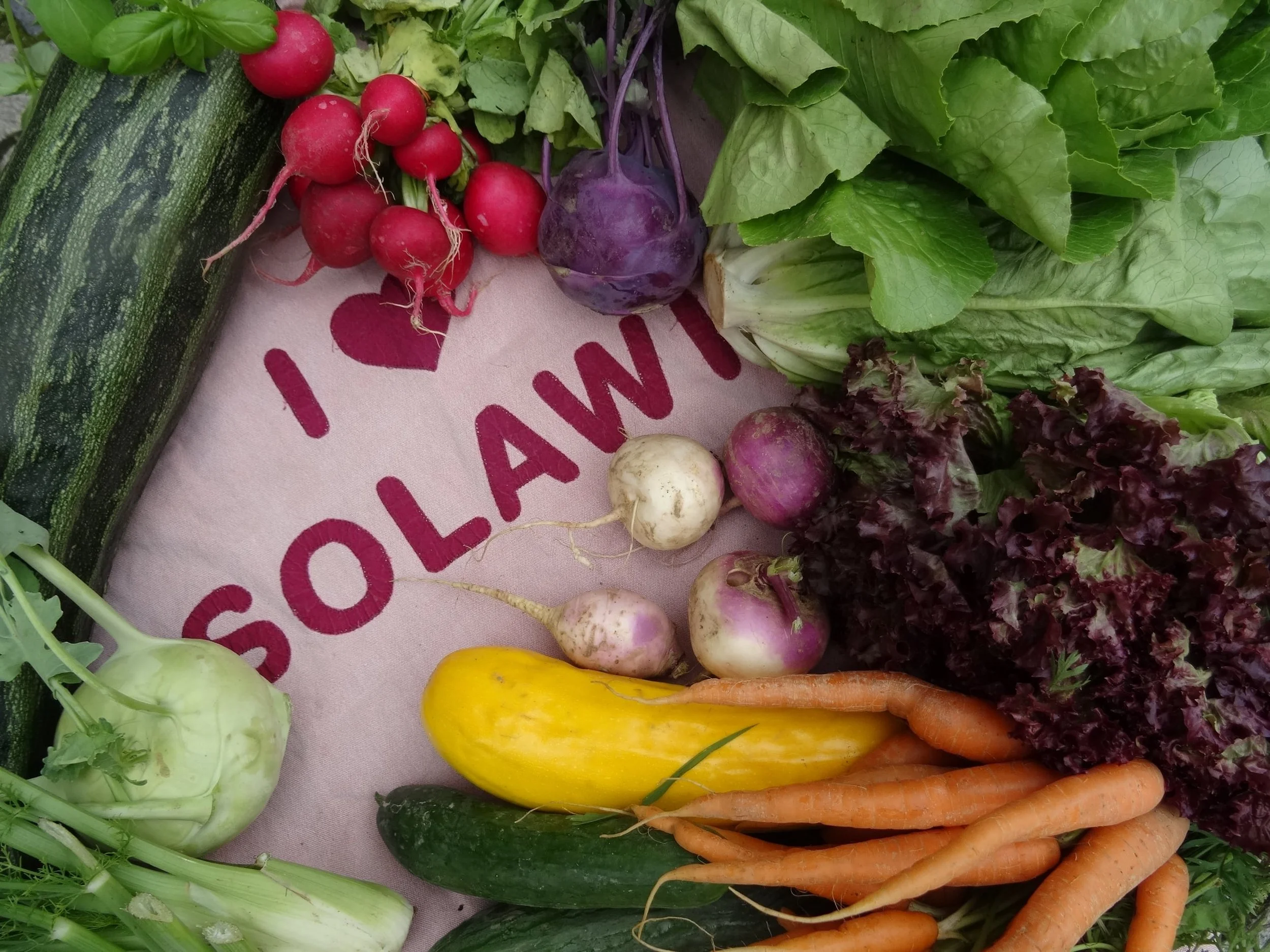 GEMEINSCHAFTSGETRAGEN DURCH DIE KRISE