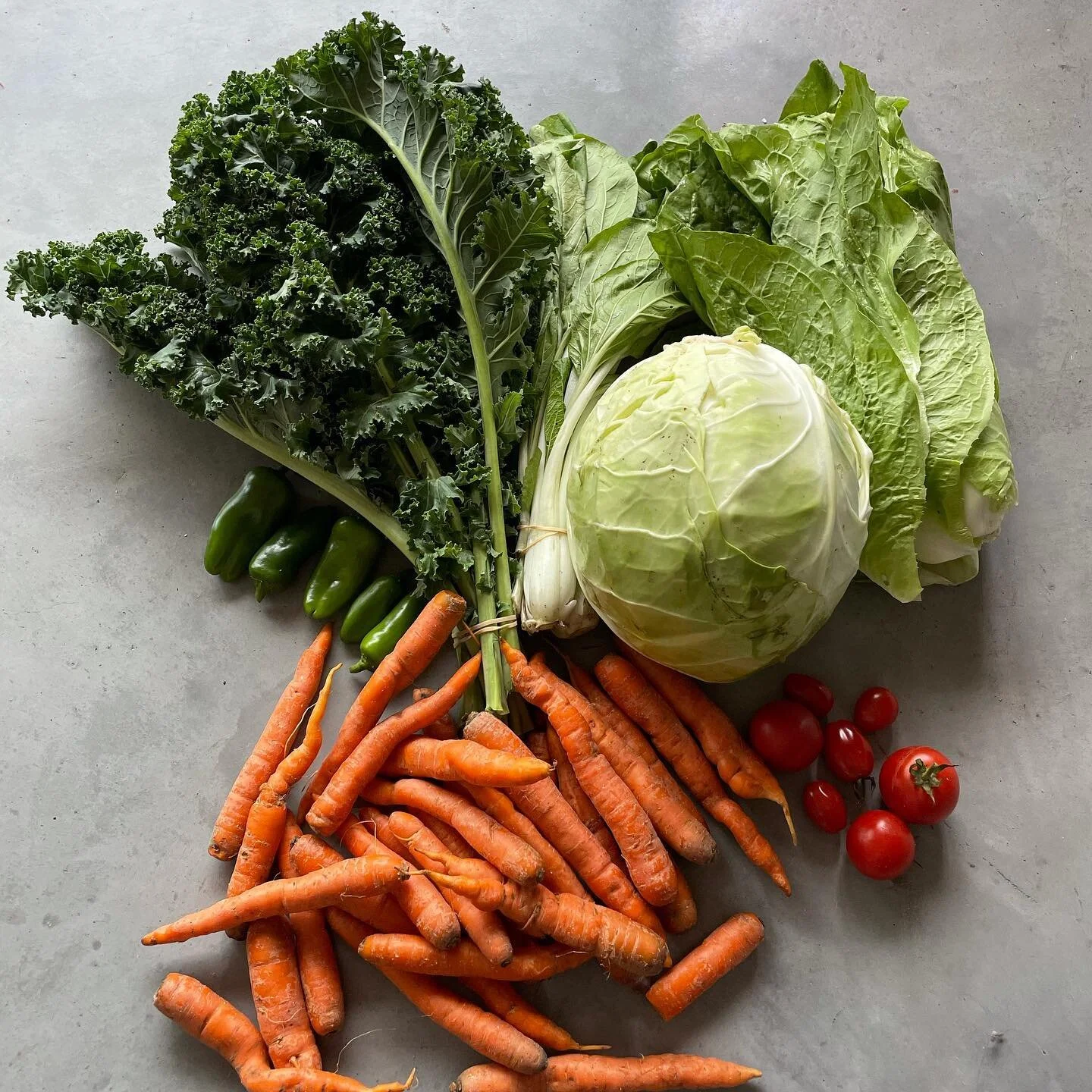 Einfache Krautsuppe — Jolling e.G.