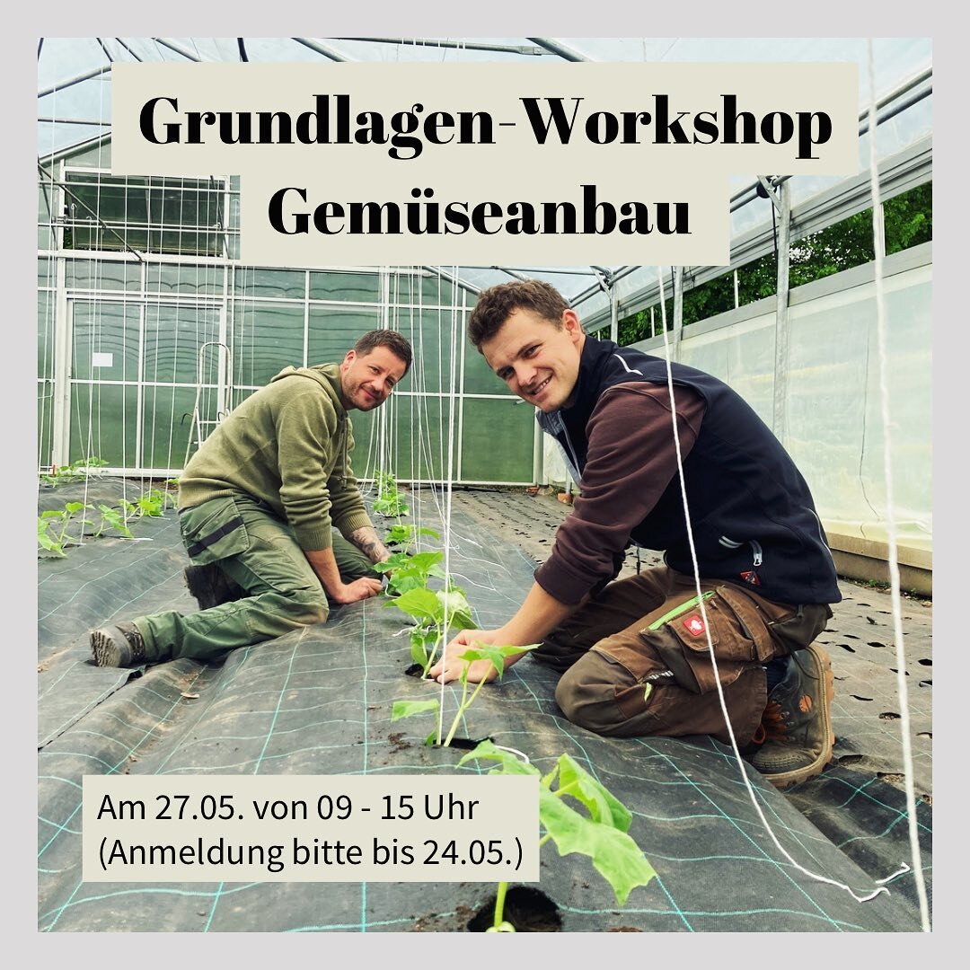 Am 27.05. von 09-15Uhr vermitteln die G&auml;rtner Robert Rollwage und Frederic B&uuml;sel von der G&auml;rtnerei Jolling interessierten Hobbyg&auml;rtner*innen Grundlagen des Gem&uuml;sebaus.

Von der Aussaat bis zur Ernte soll ein allgemeines Verst