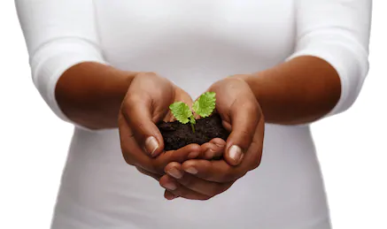 Plant Your Idea Seed!