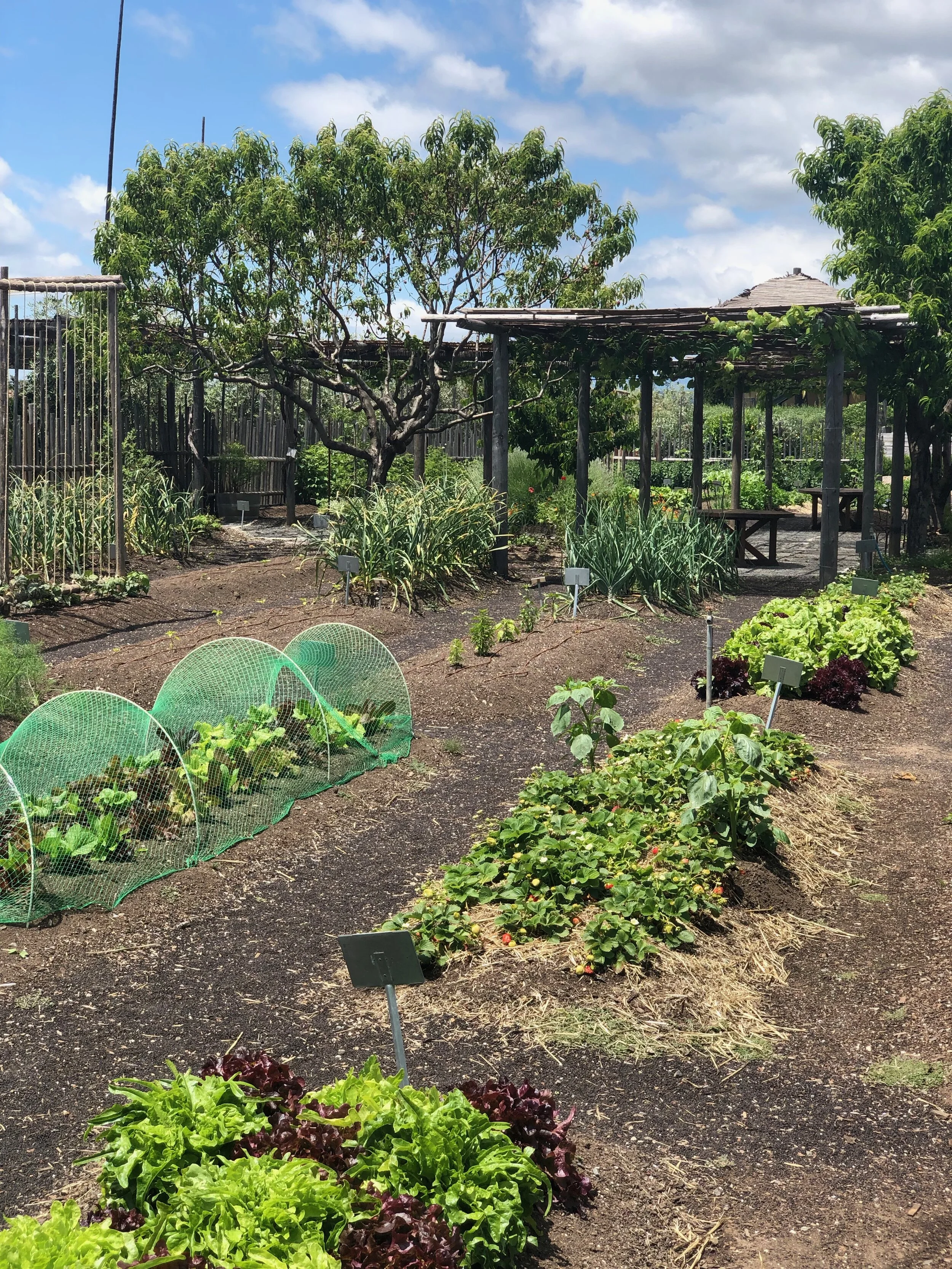 9 Food Brands That Support Regenerative Agriculture