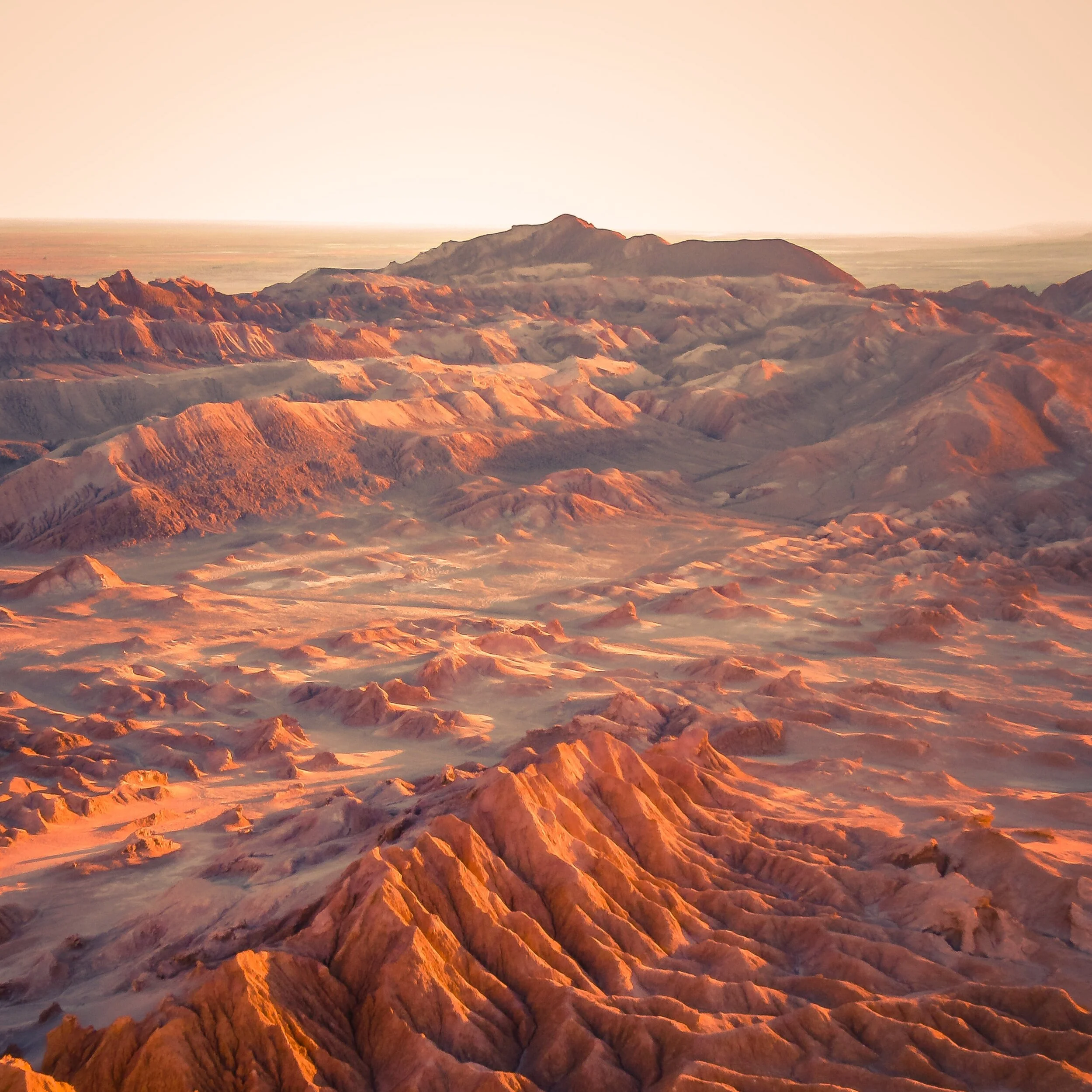 Life Without Trees: What I learned in Arica, Chile