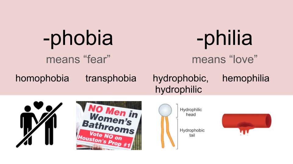 LGBTQIA Science_STEM Etymology Posters (4).jpg