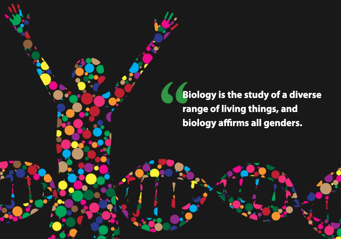 gender inclusive biology