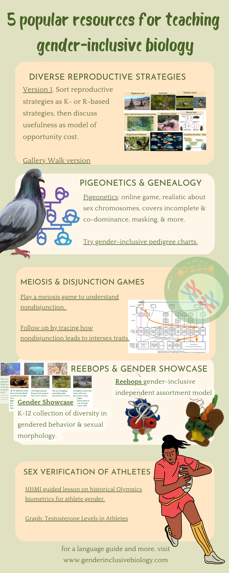 5 popular resources for gender-inclusive biology curriculum