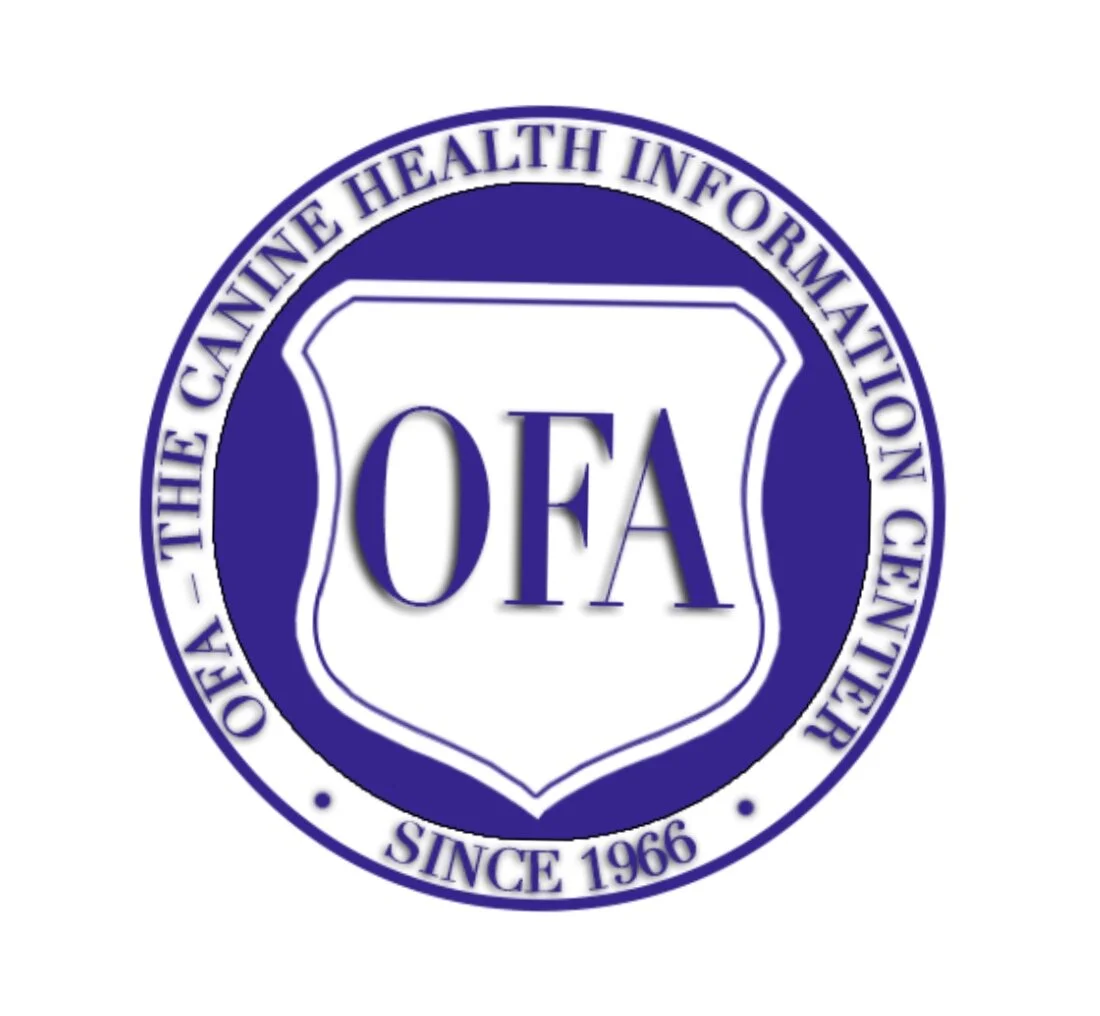 Just for Breeders: How to Find an OFA Affiliated Vet