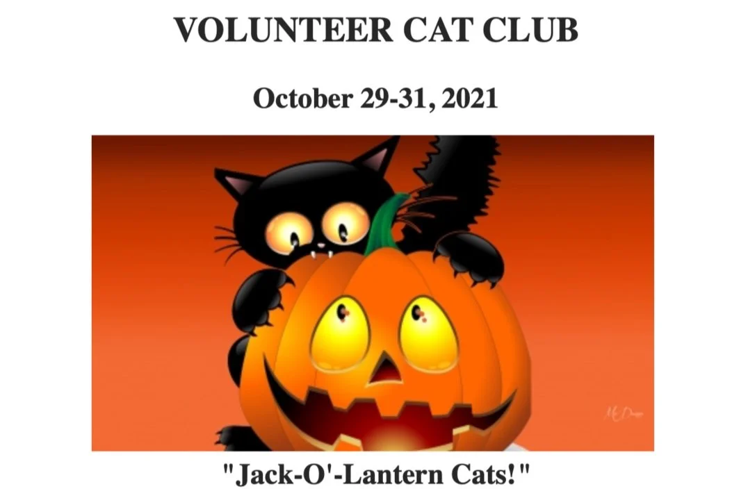 Volunteer Cat Club TICA Show