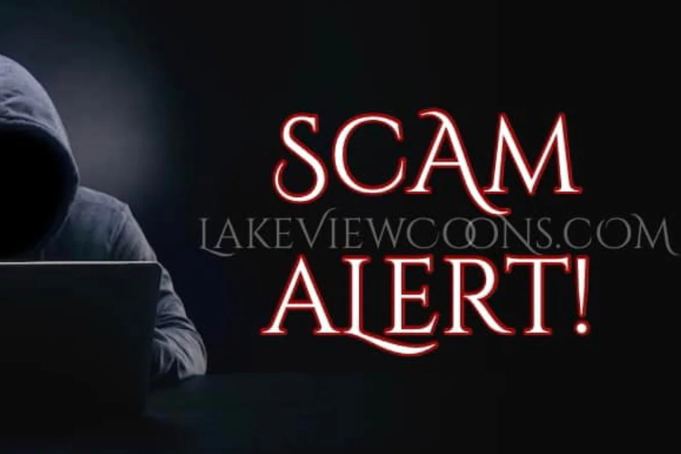 Beware of Online Pet Scams!