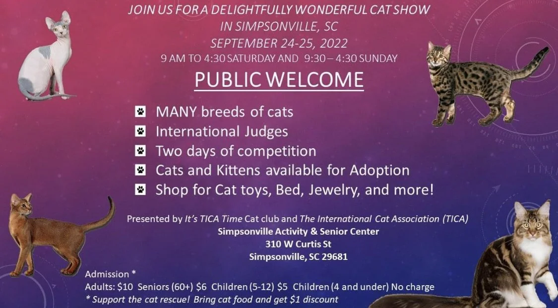 It's TICA Time presents, "Delightfully Wonderful Cats"