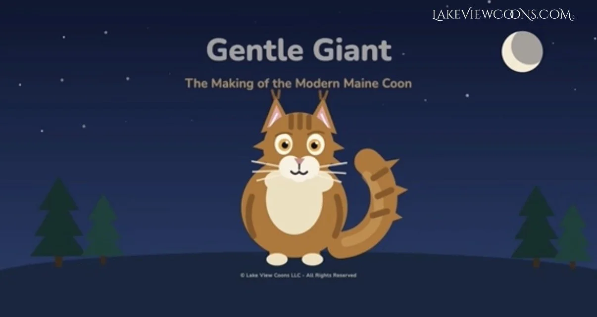 GENTLE GIANT: The Making of the Modern Maine Coon