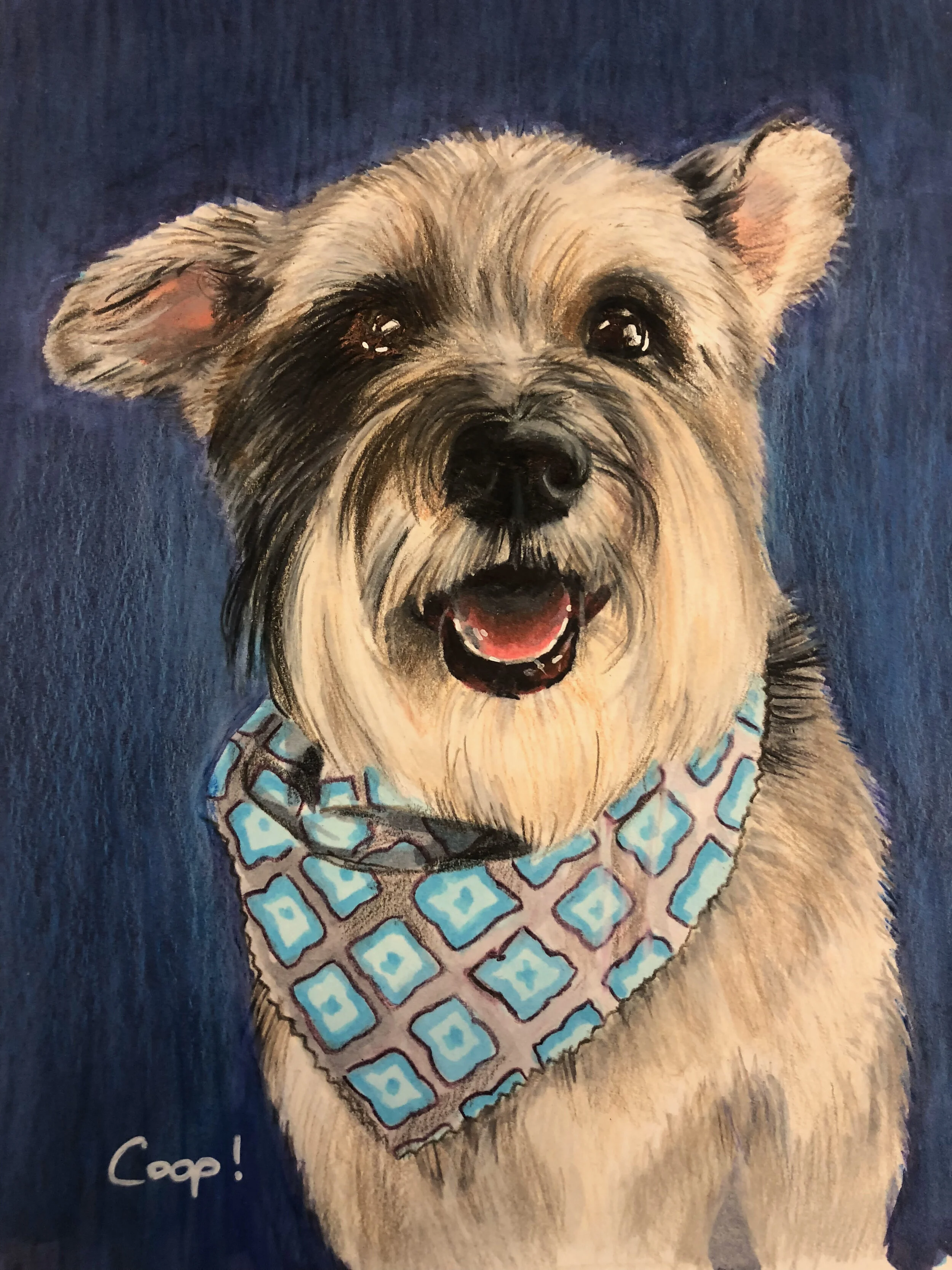 Schnauzer.jpg