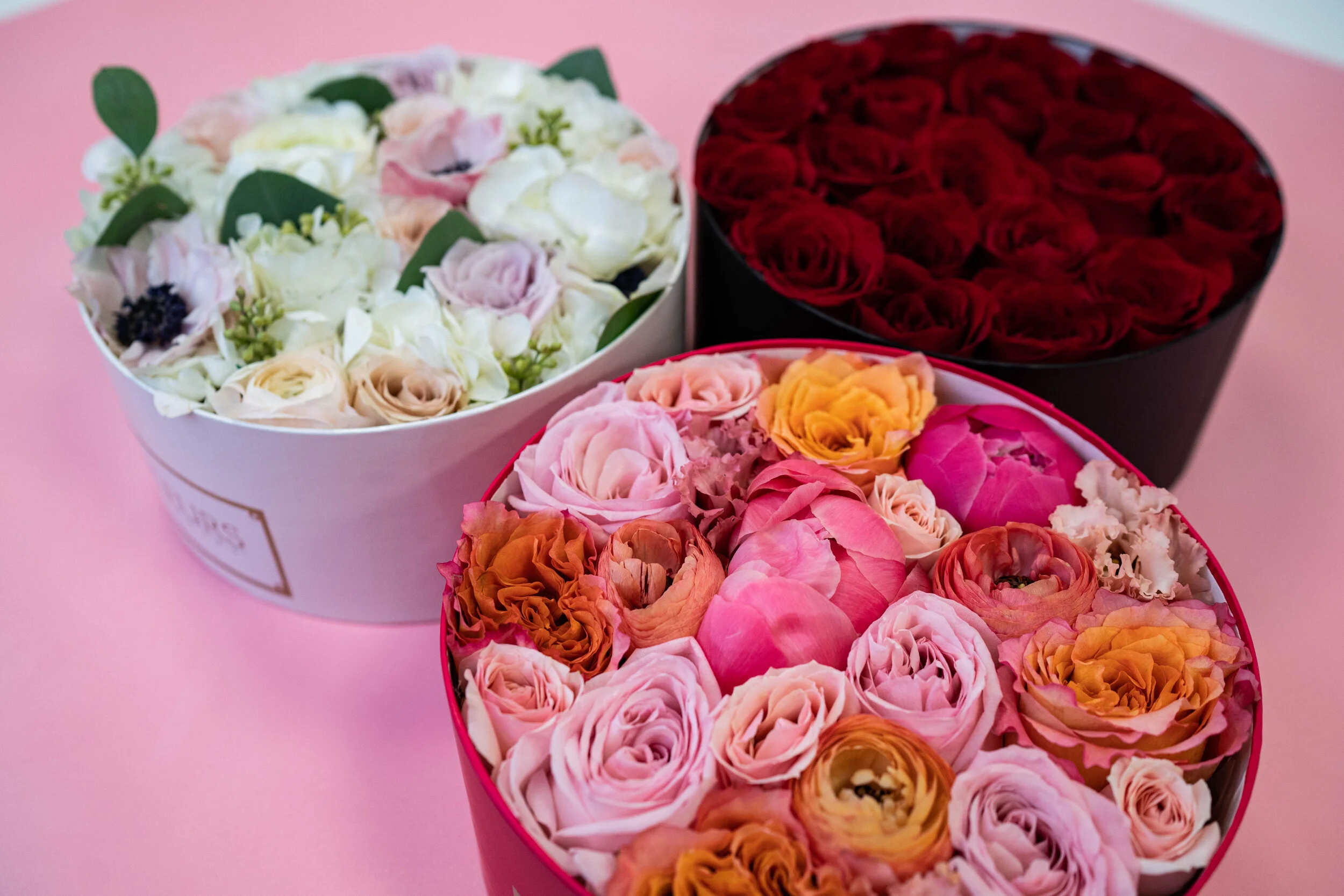 Flower Care Fleurs Flowers