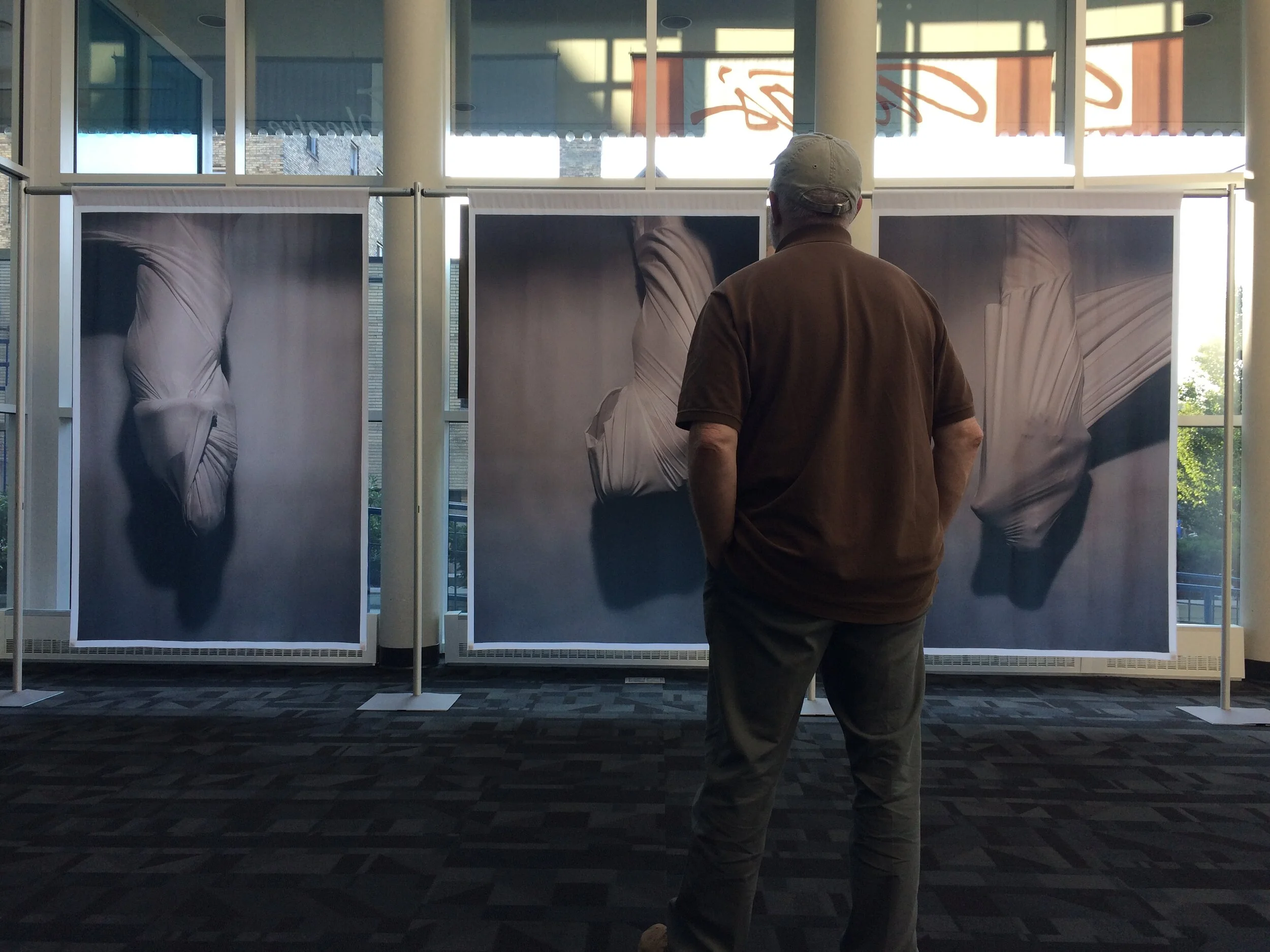  Wrapped in Instinct Triptych 