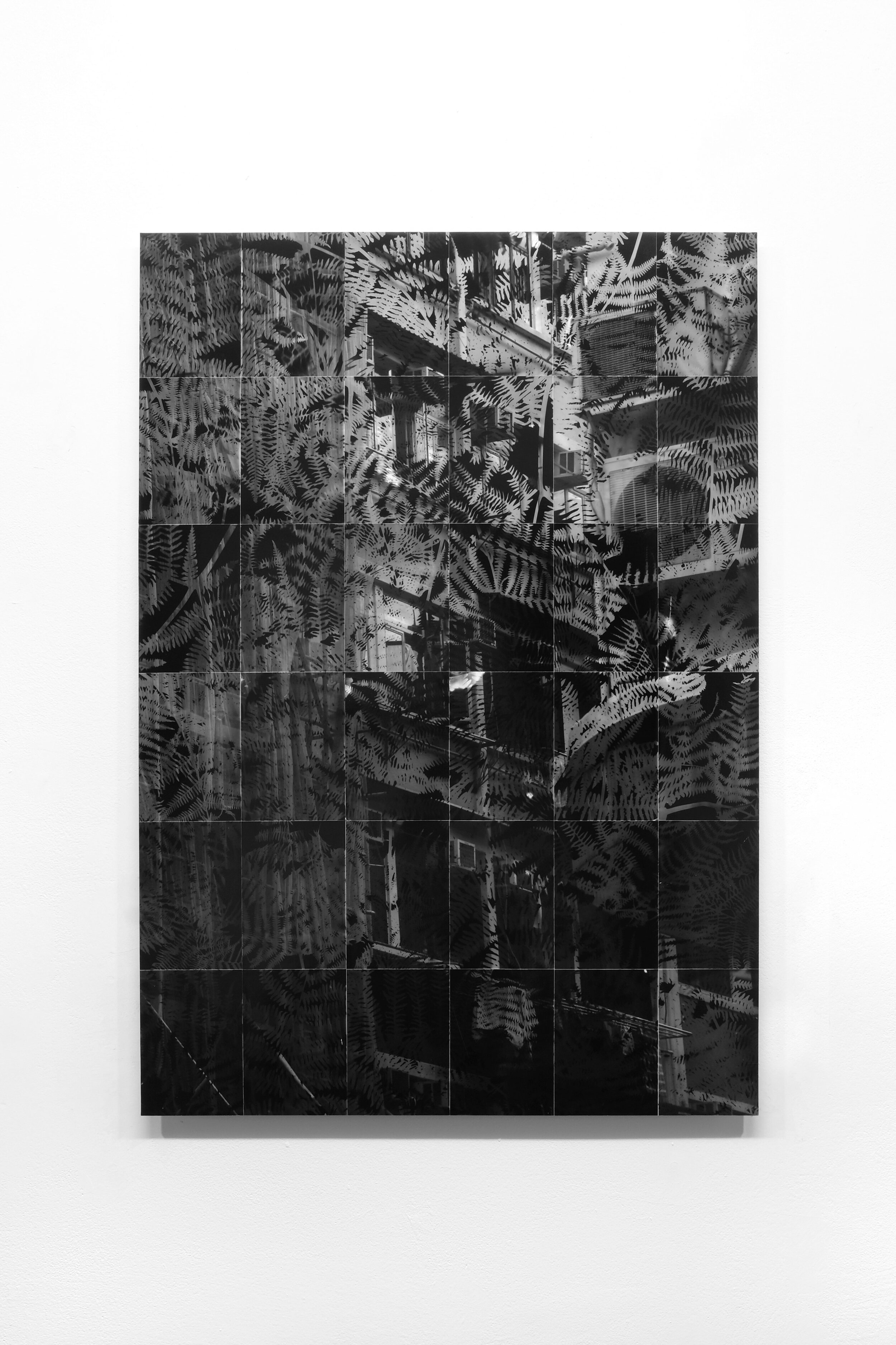   Undergrowth/Overgrowth , 2018, 88.5×62.5cm, 36 silver gelatine prints (RC gloss) on aluminium 
