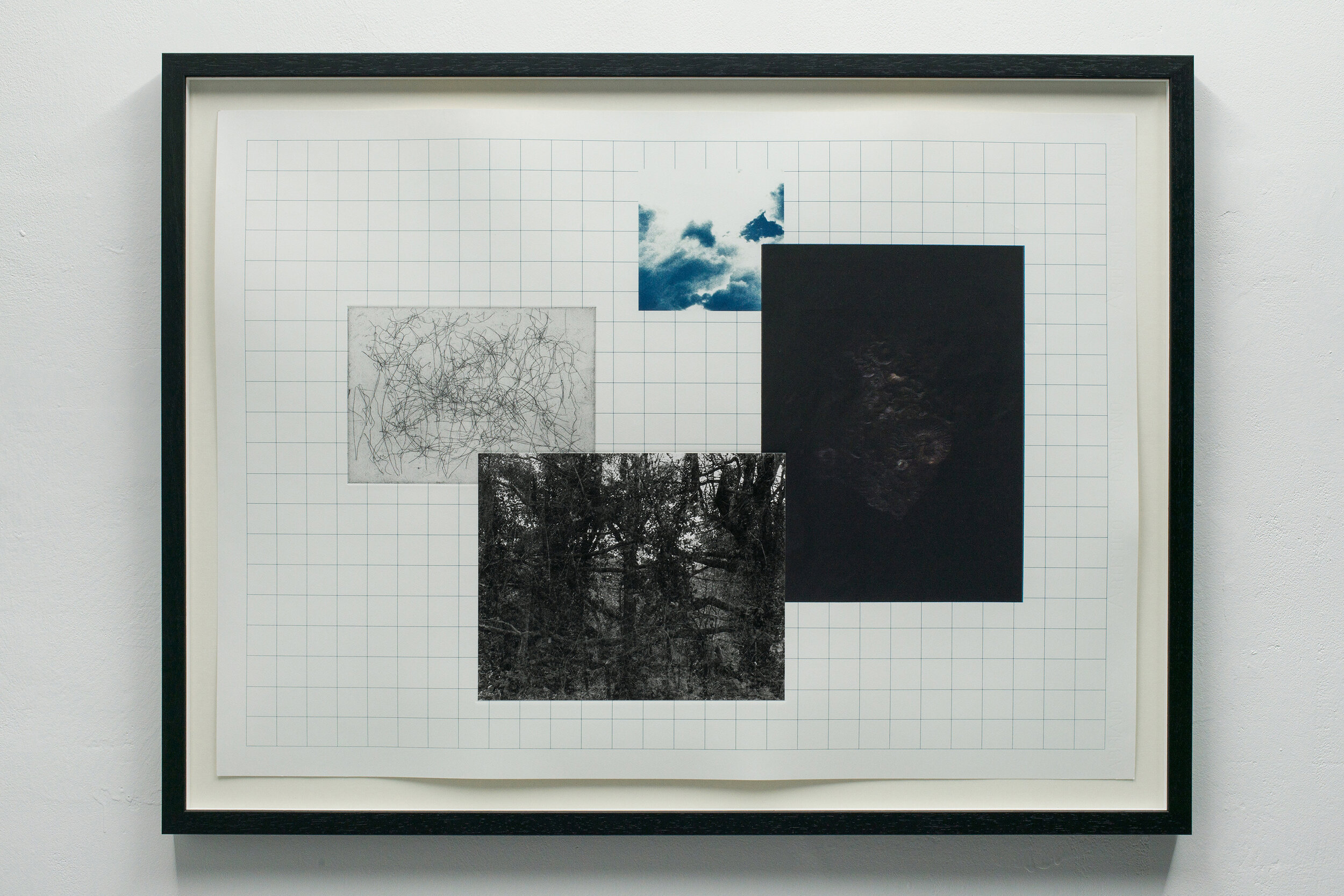   Just Another Layer of Death on Top of the Rest II , 2016, 55.5x68cm, cyanotype, silk screen print, hard-ground etching, and silver gelatine photograph 