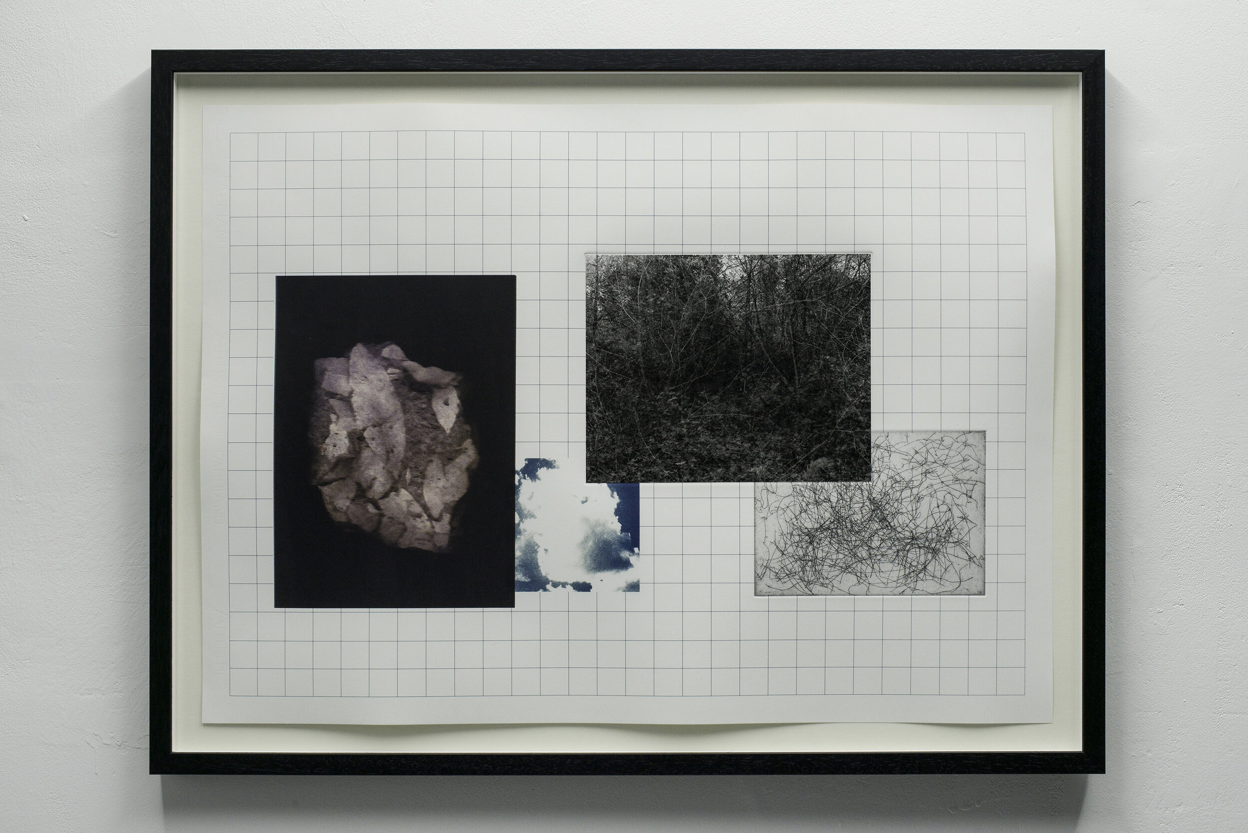   Just Another Layer of Death on Top of the Rest III , 2016, 55.5x68cm, cyanotype, silk screen print, hard-ground etching, and silver gelatine photograph 