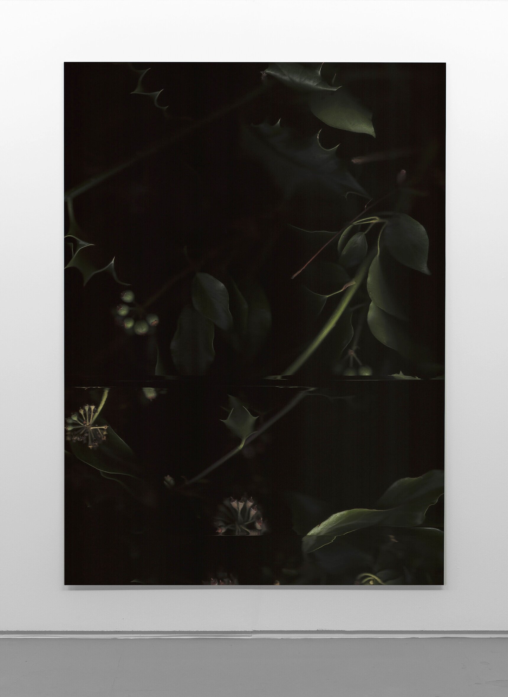   Beneath the Surface III , 2016, Digital C-type, 168x122cm 