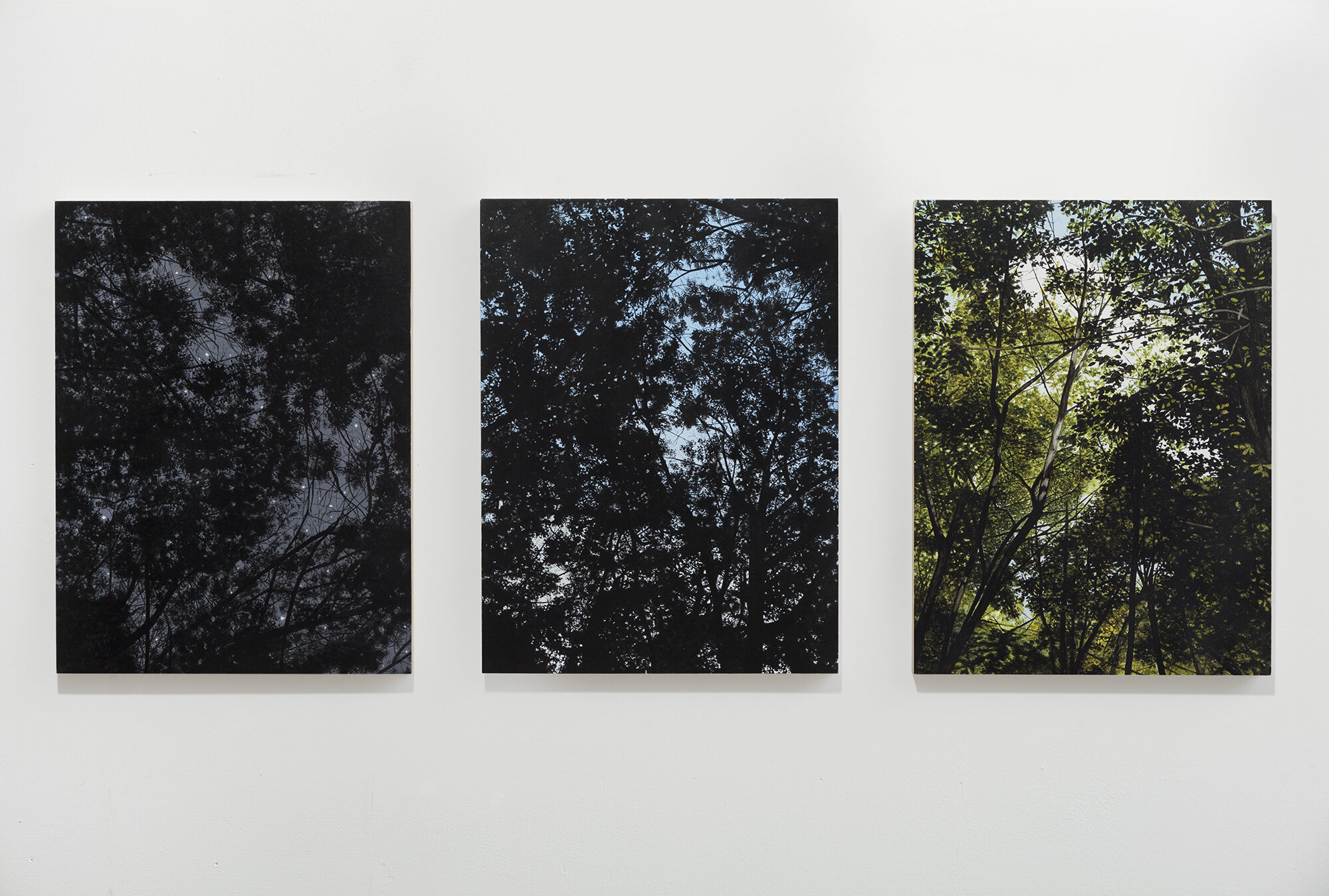  Rebecca Partridge,  12 Hr Canopy 12/6/12 triptych , 2015 