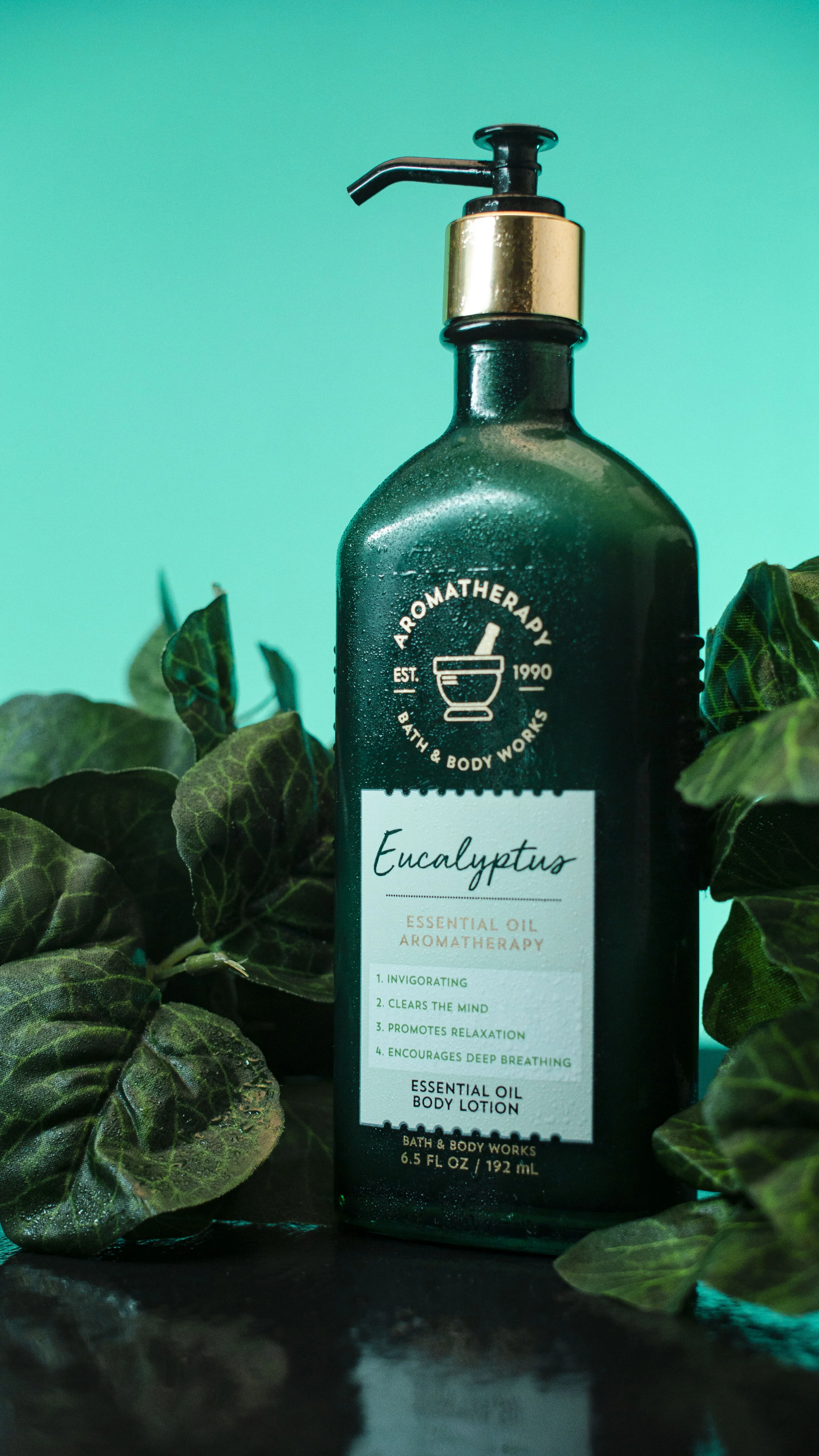 eukalyptus3.jpg