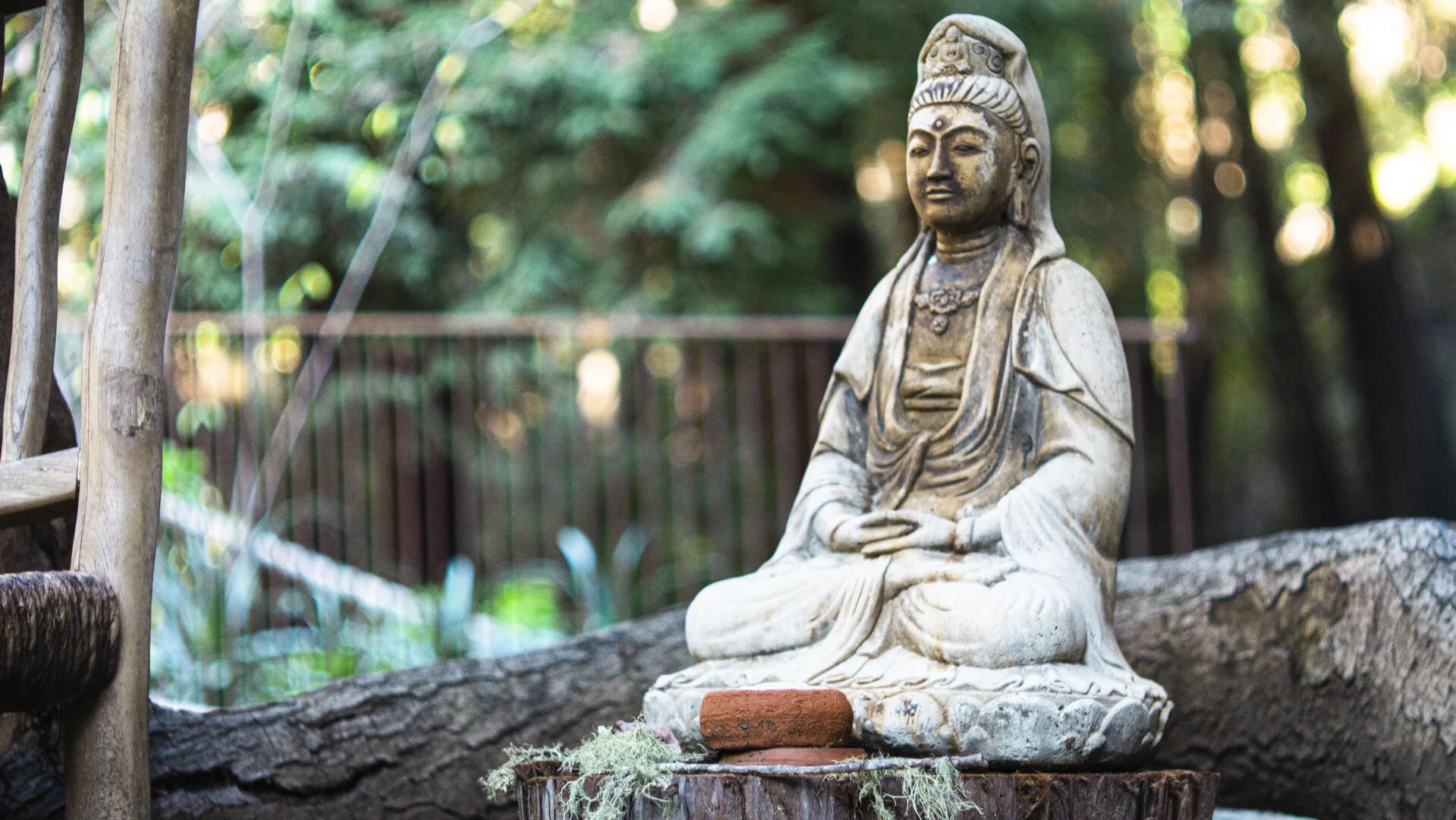 Bhudda.jpg