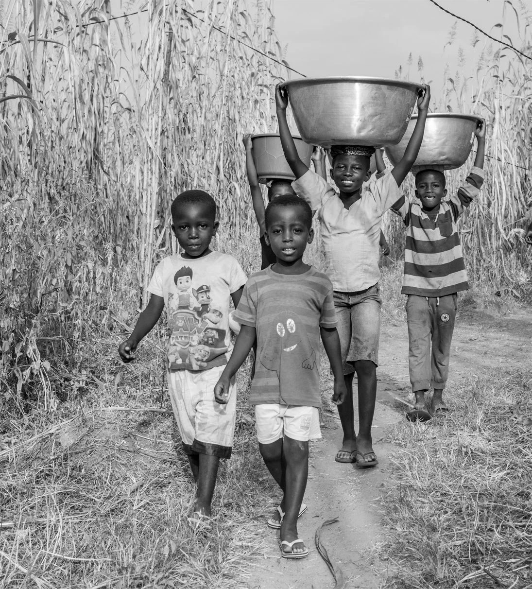 togo 1.jpg