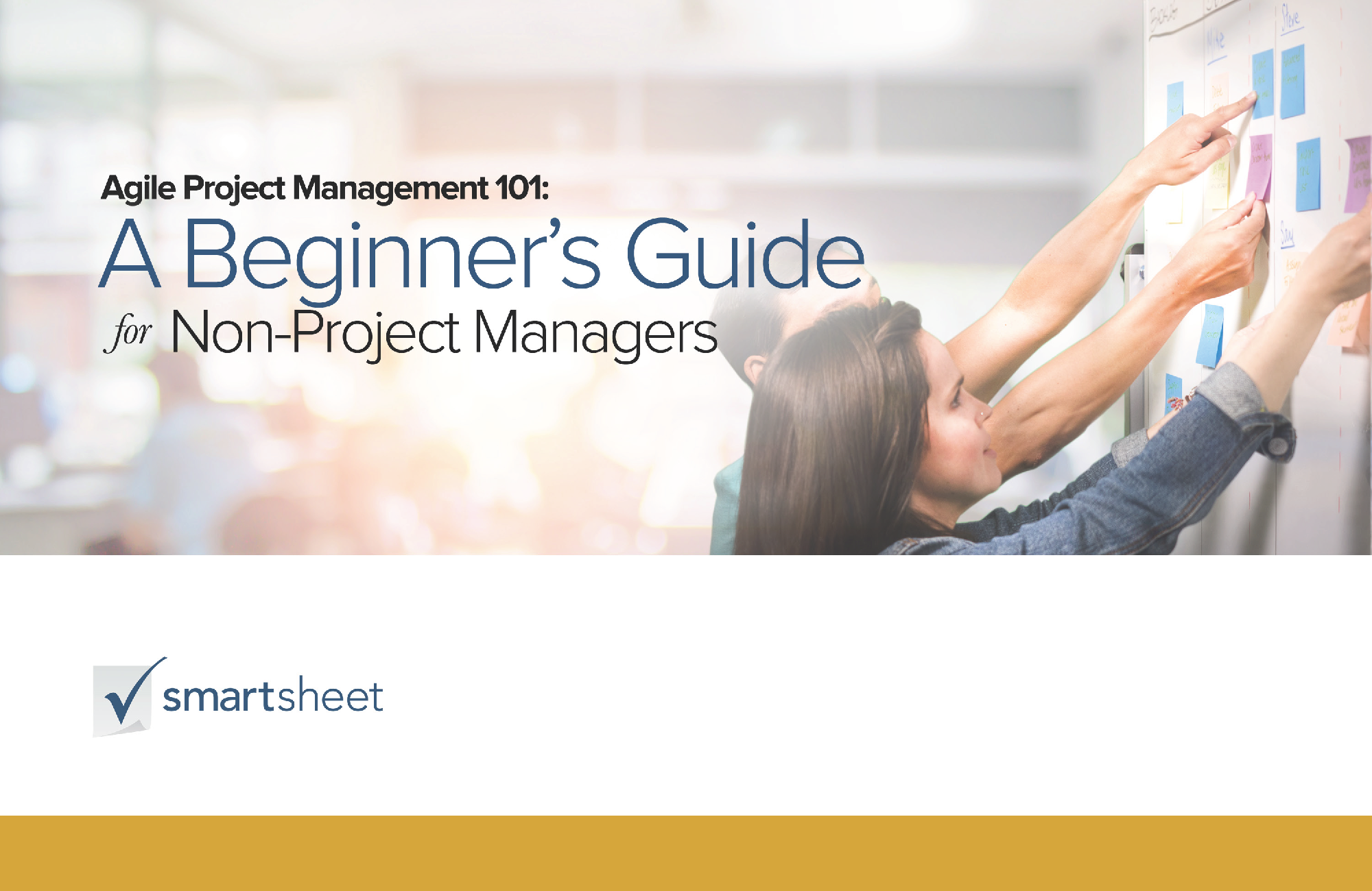 Agile-PM-101_Page_01.png