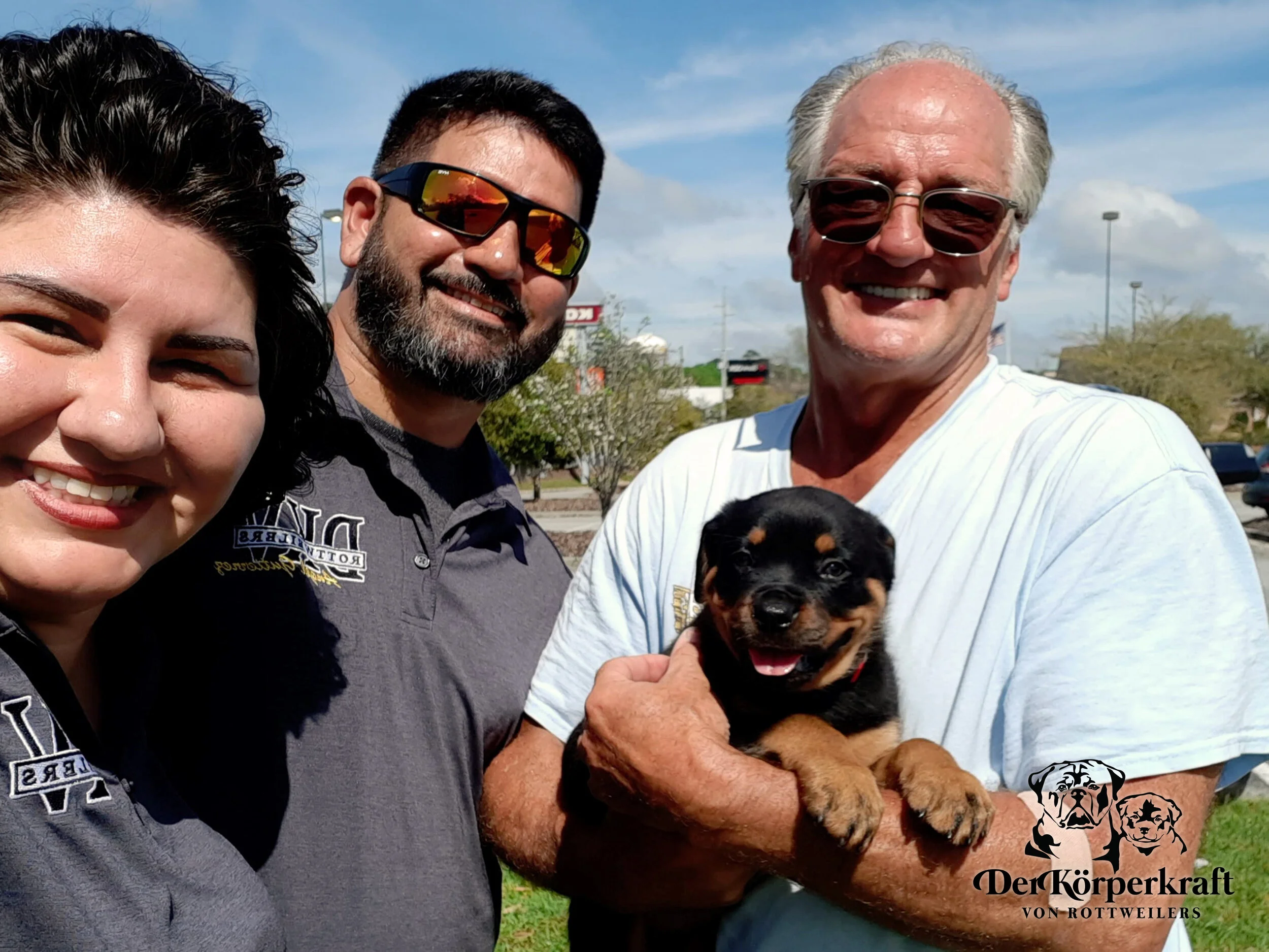 DKV Rottweilers | German Rottweiler Puppies For Sale | DKV Rottweilers ...