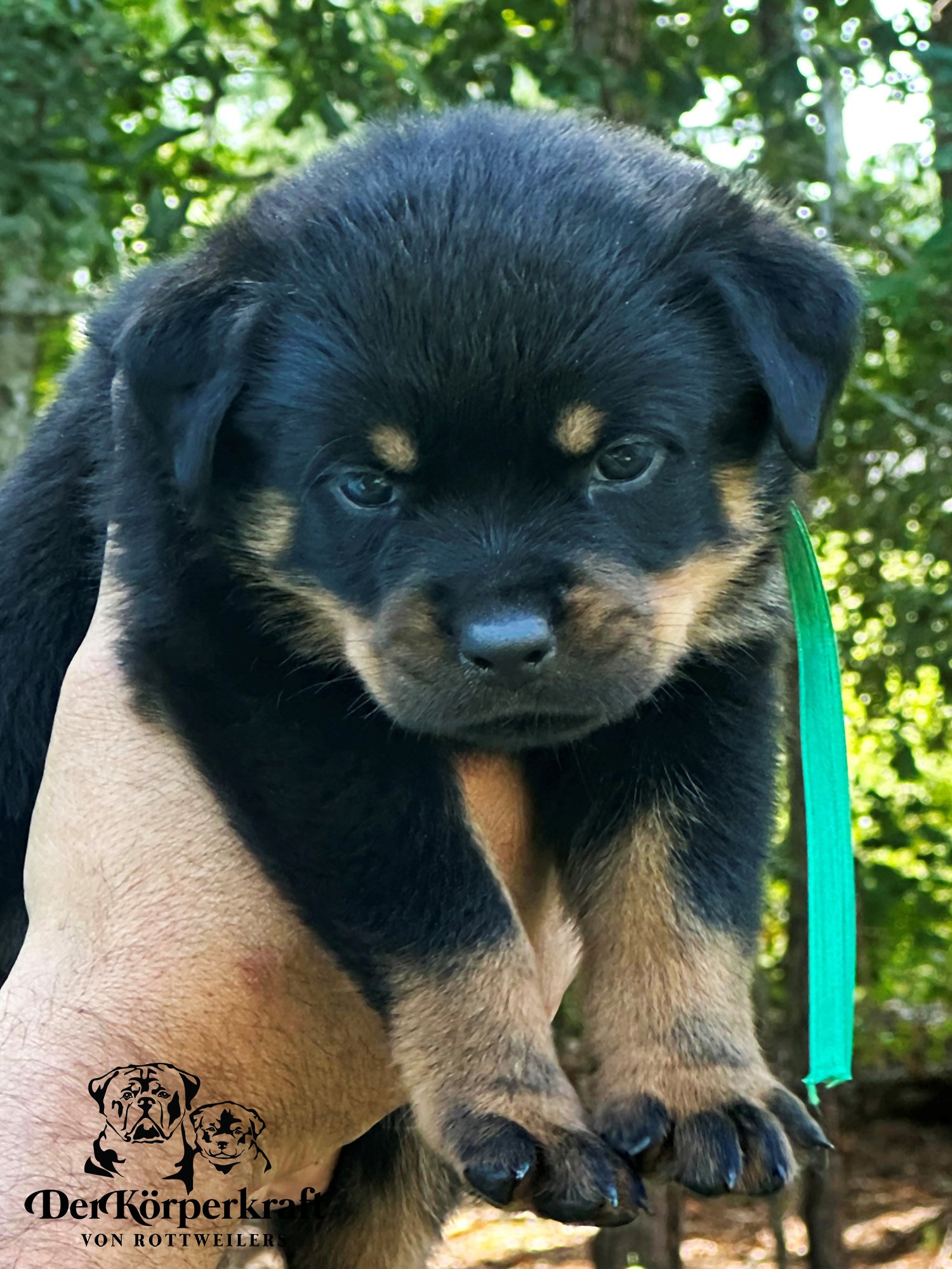 Green Collar Female