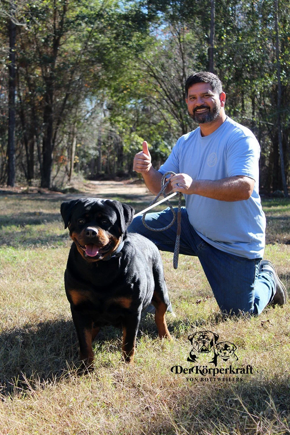 DKVRottweilers-Rottweiler-Brenda-Vom-Haus-Radunovic-5.jpg