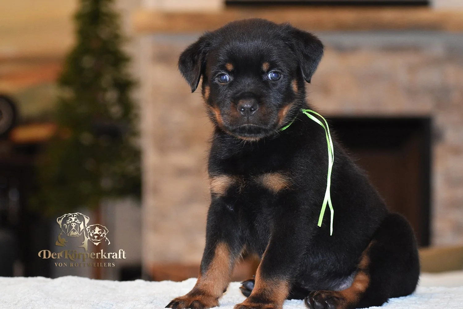 Green Collar Female