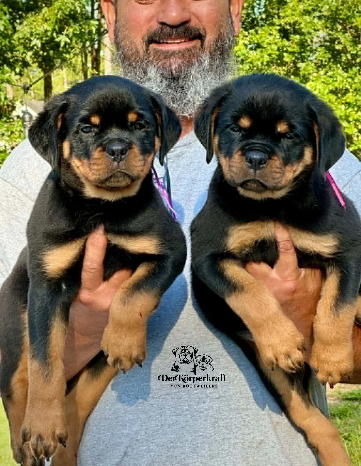 6R-Tango-Misrija-7halfwks-Females (2).jpg