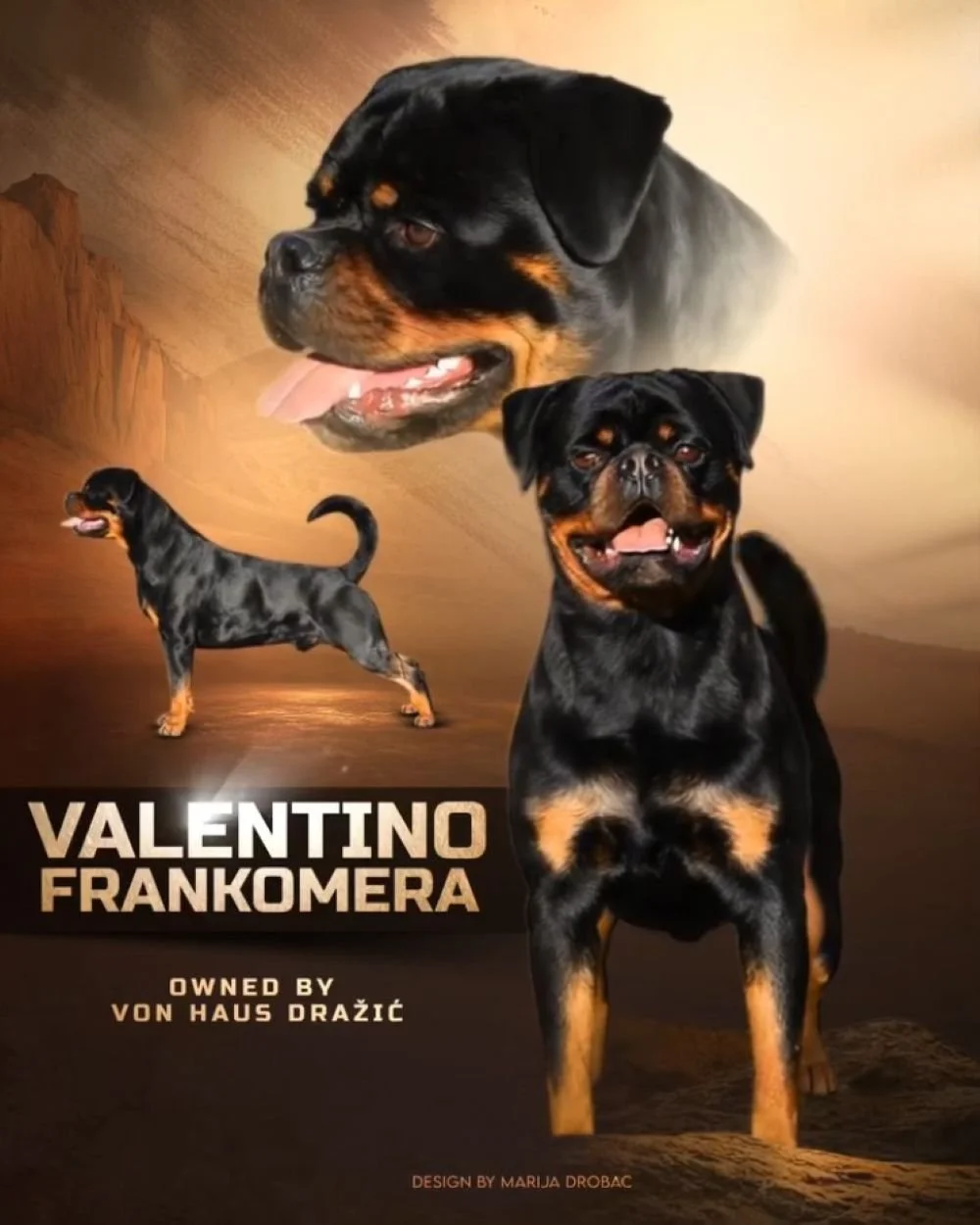 DKV-Litter-2026-Valentino-Frankomera-7.jpg
