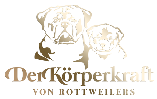 DKV Rottweilers | German Rottweiler Puppies For Sale