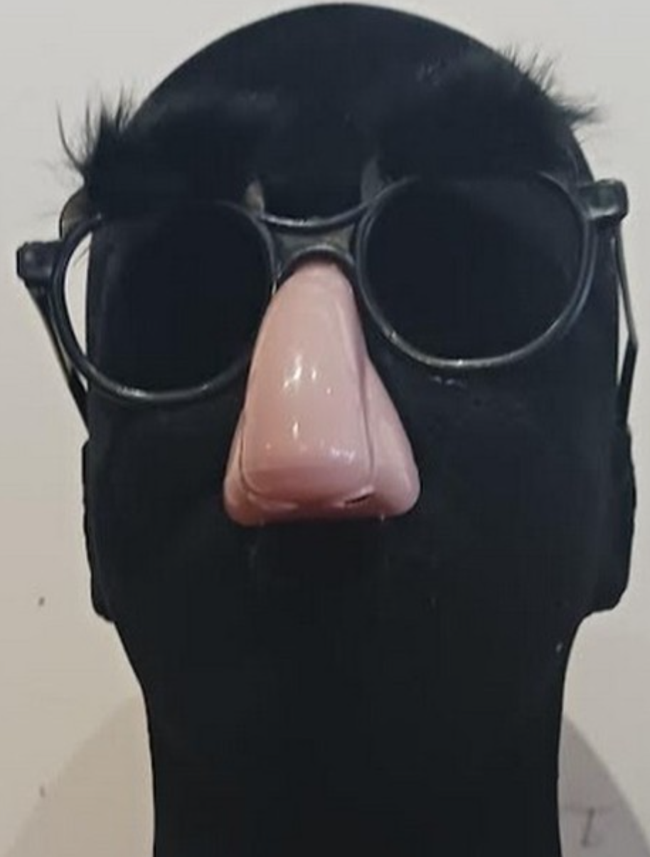 Letting Go of the Limerick