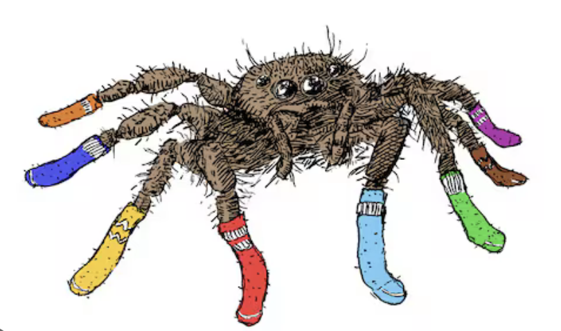 You Can Put Socks on a Spider
