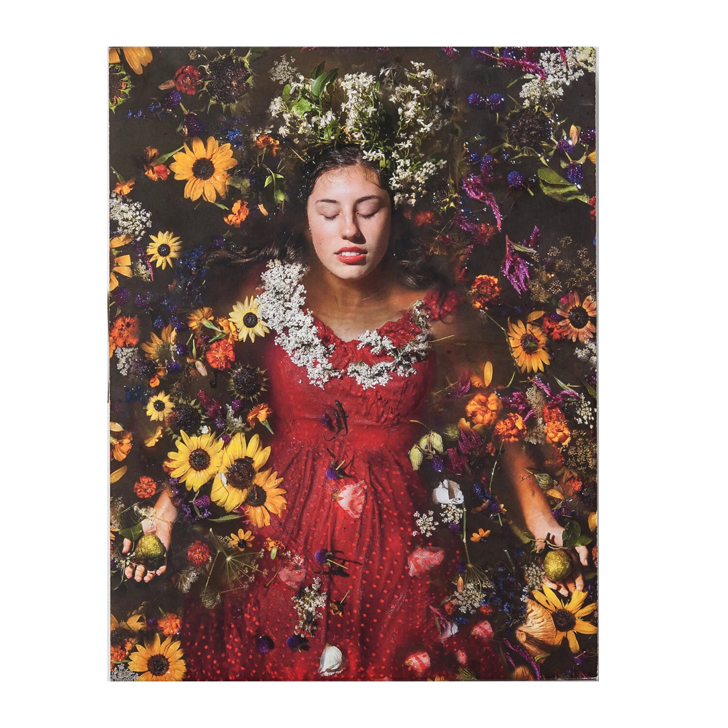 100 Views of the Drowning World by Kahn &amp; Selesnick