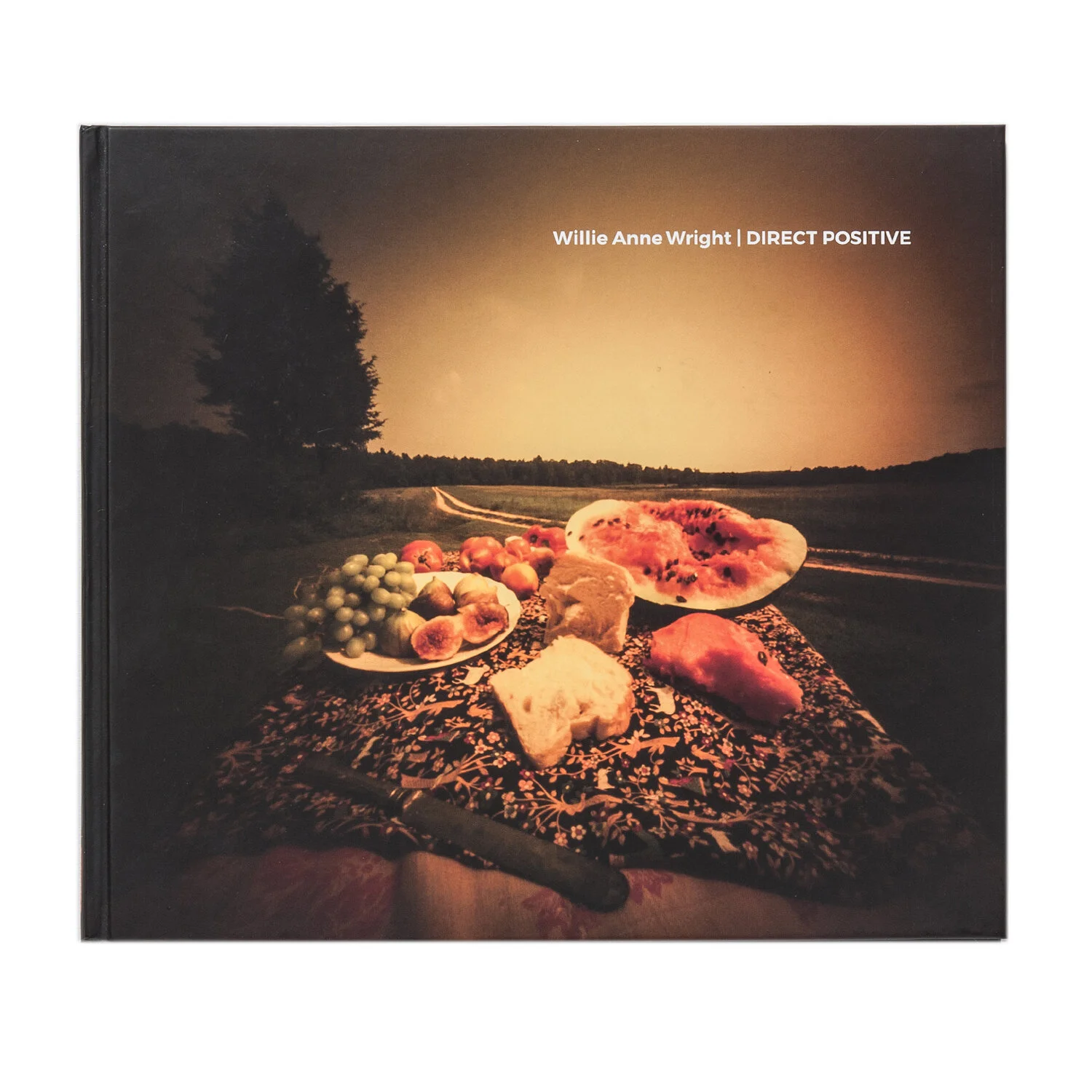 Direct Positive by Willie Anne Wright