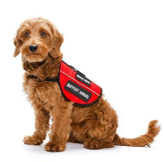 HUD no longer pursuing emotional support animal  complaints