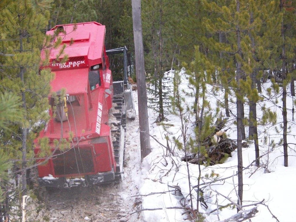 Forestry mulcher clearing trees in a snowy forest