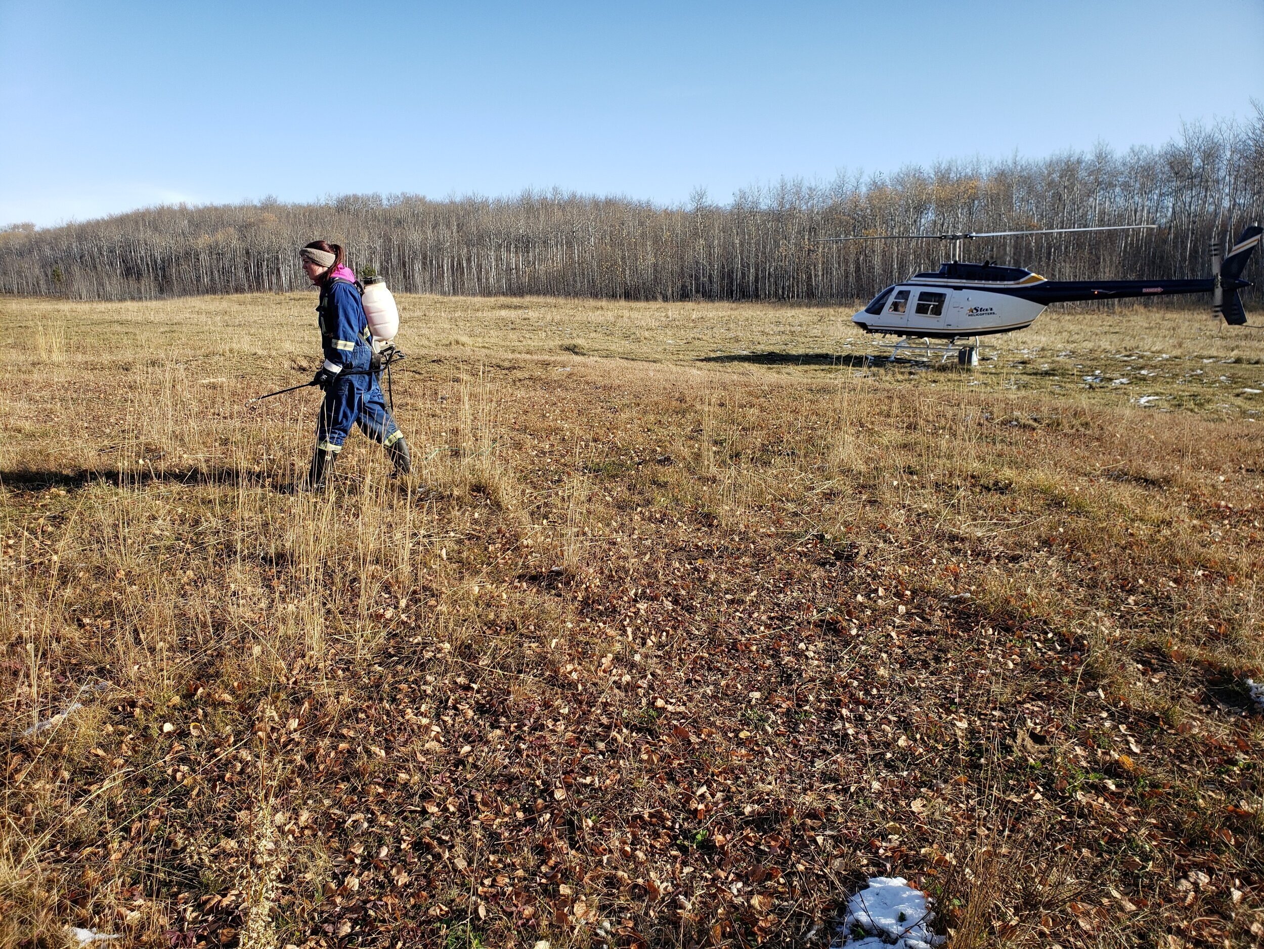 Weed Spraying in Bonnyville