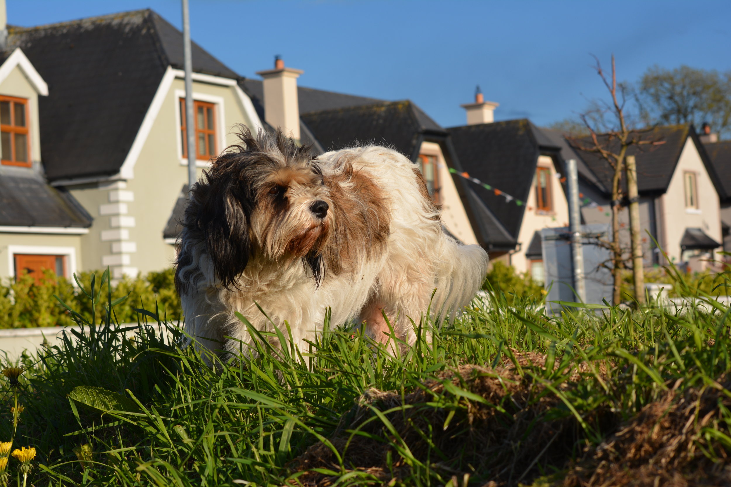 MOVING DAY TIPS: PART 2  