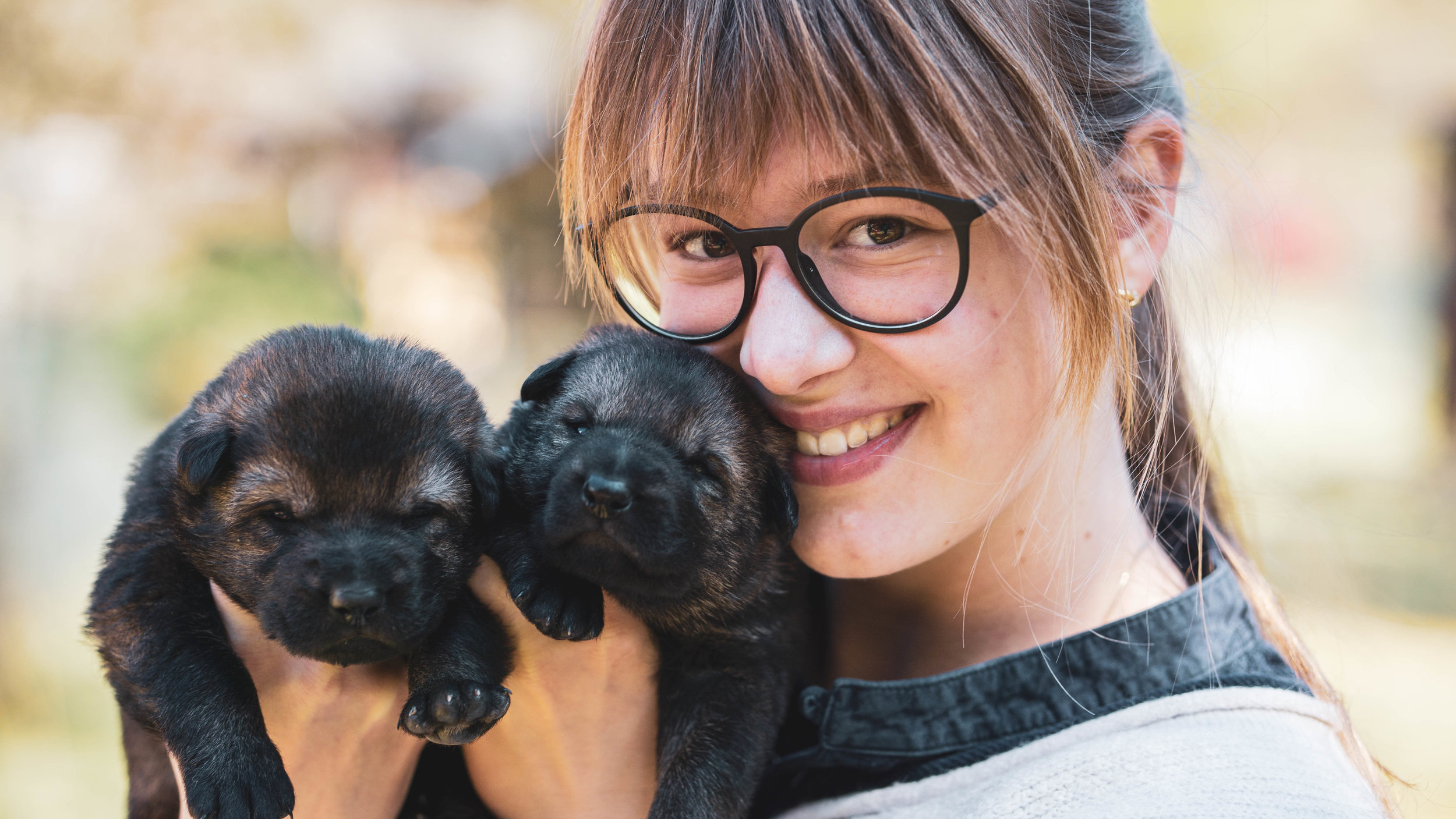 What all Puppy Owners Should Know