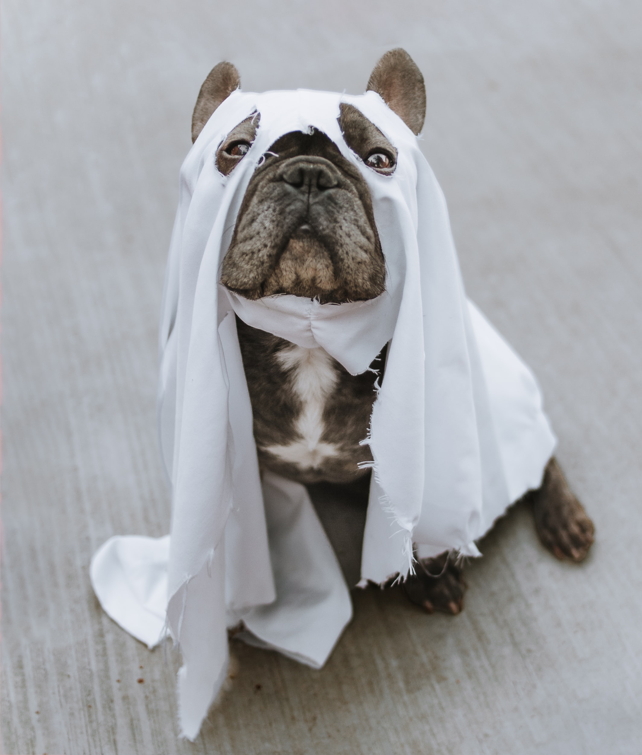 WAS HALLOWE’EN A NIGHTMARE FOR YOU?