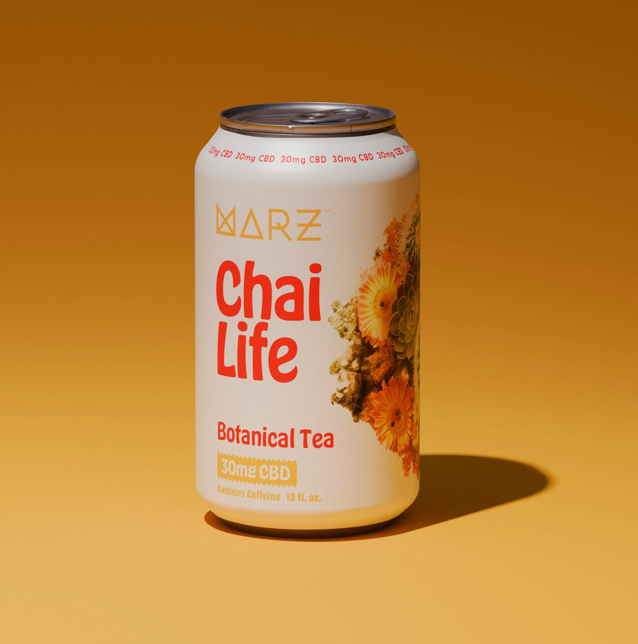 Chai Life 12 Pack