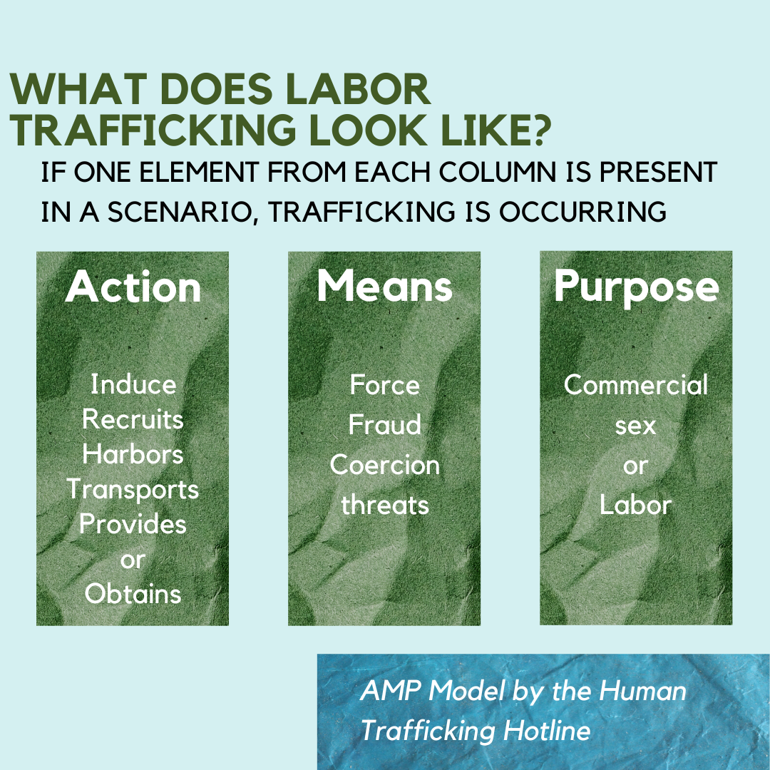 More Than Clothes — PAVE