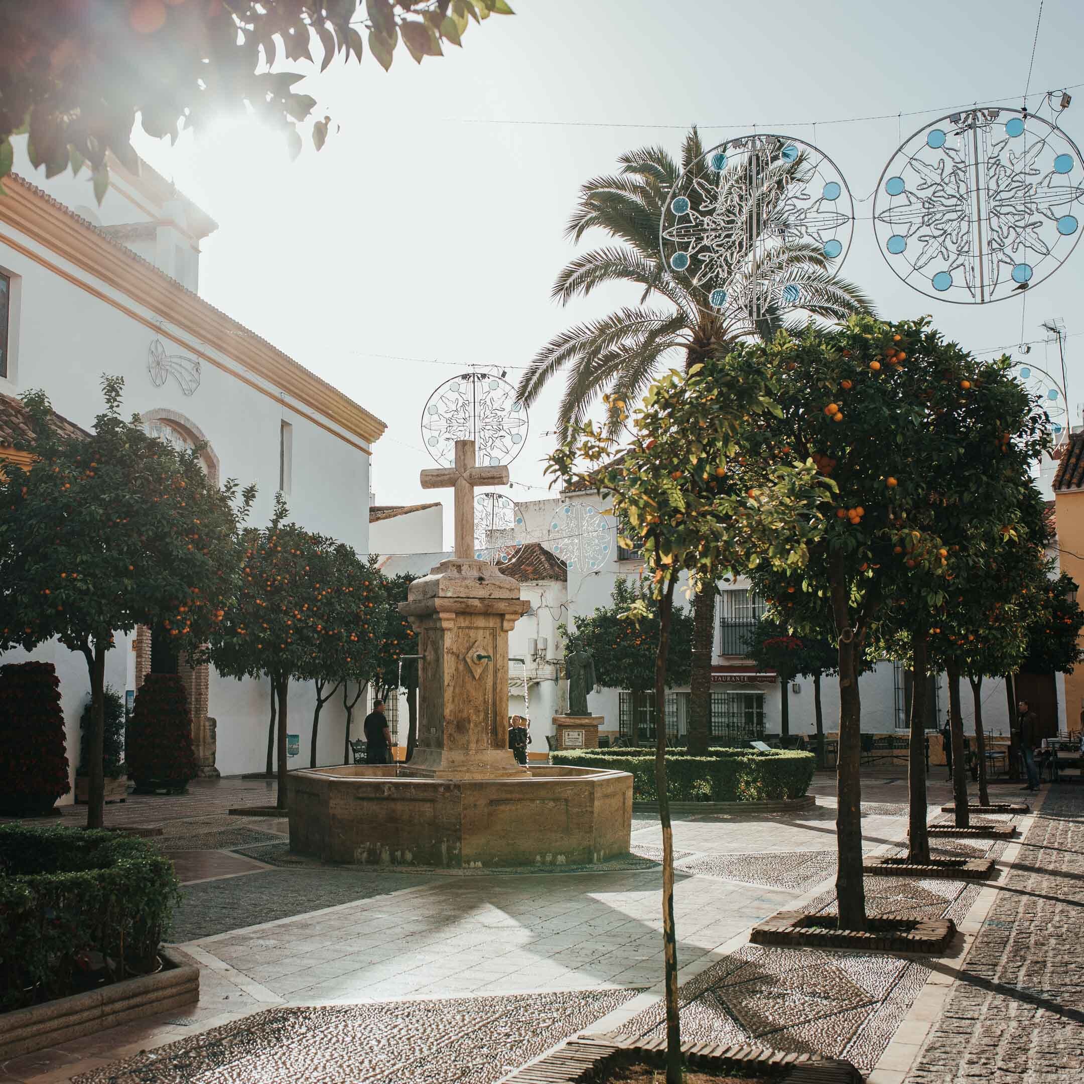 Old Town with Orange Trees.jpg